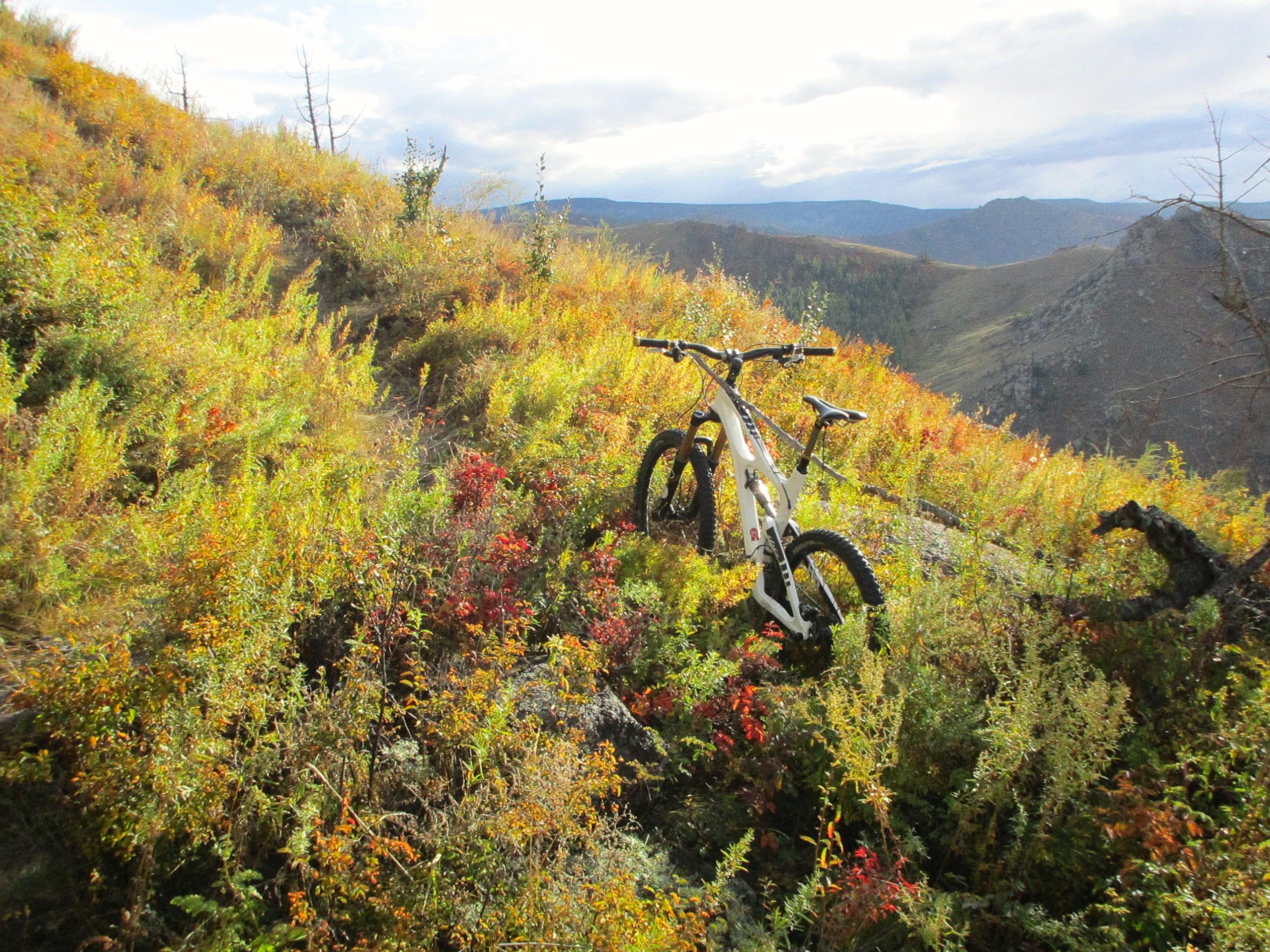 A mountain bike parked on a grassy hillside adorned with vibrant autumn foliage, including shades of green, red, and yellow. The background features distant mountains under a partly cloudy sky. The Beast mountain bike trail.