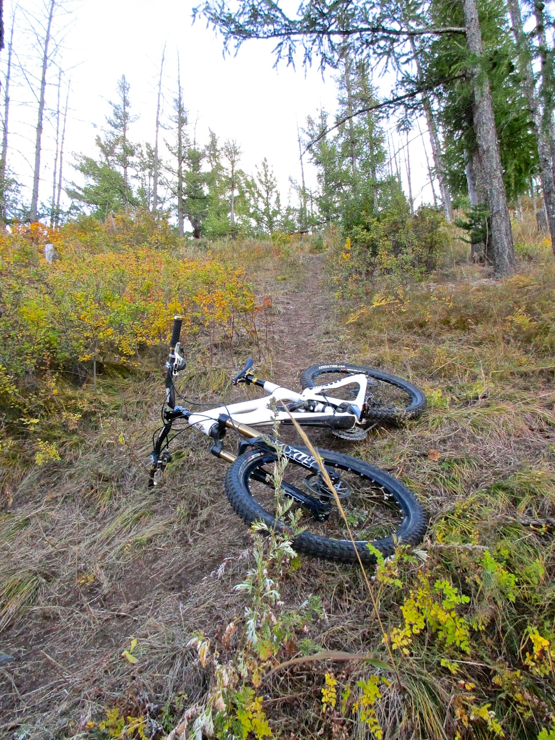 A white mountain bike lies on its side in a grassy area, surrounded by autumnal foliage and tall trees. A dirt path leads uphill in the background, indicating a trail through the forest. The Beast mountain bike trail.
