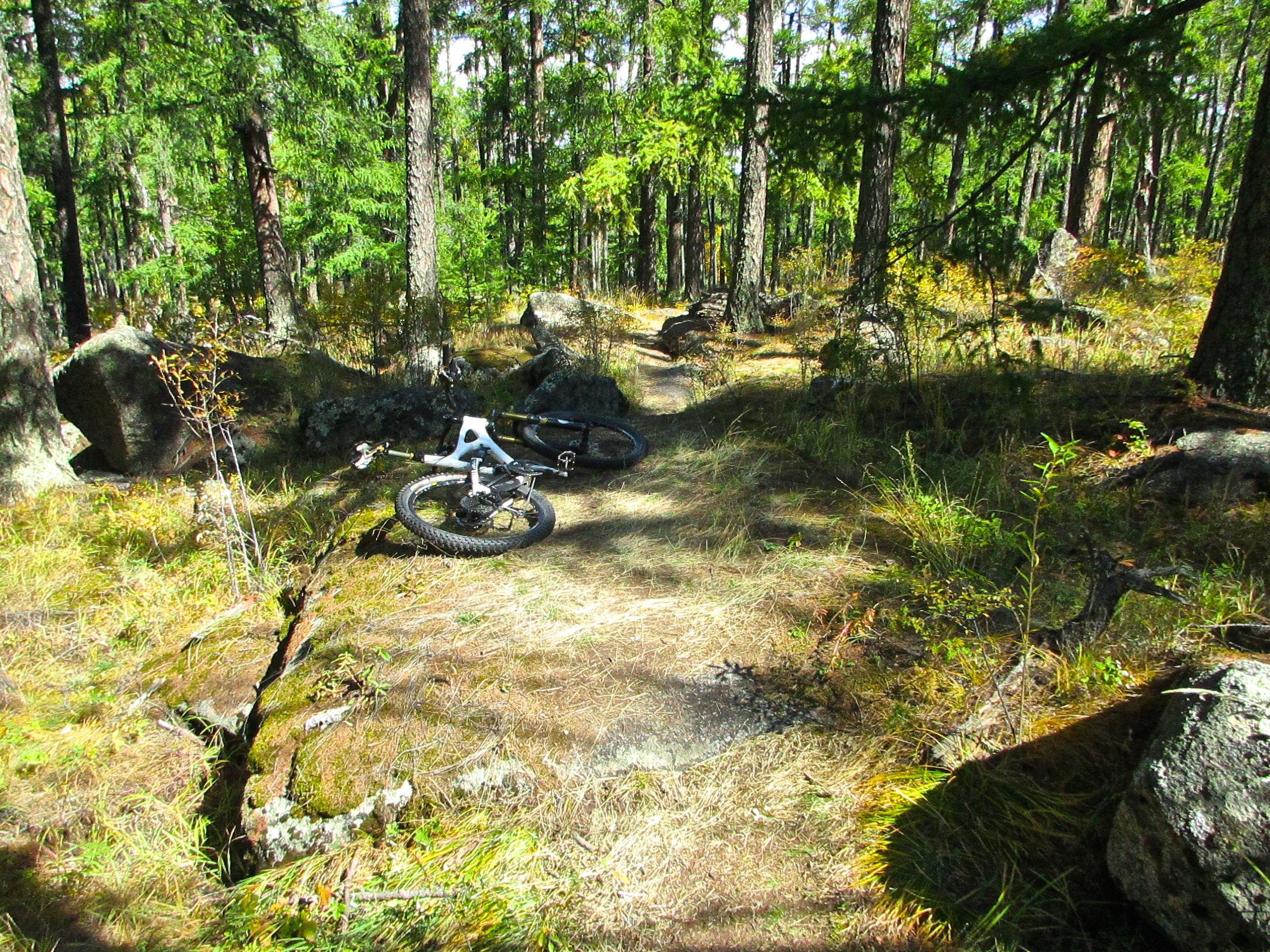 A mountain bike resting on a dirt trail surrounded by tall trees and rocks in a forested area, with patches of sunlight filtering through the foliage. The terrain is rugged, featuring scattered grass and a visible crack in the ground. The Beast mountain bike trail.