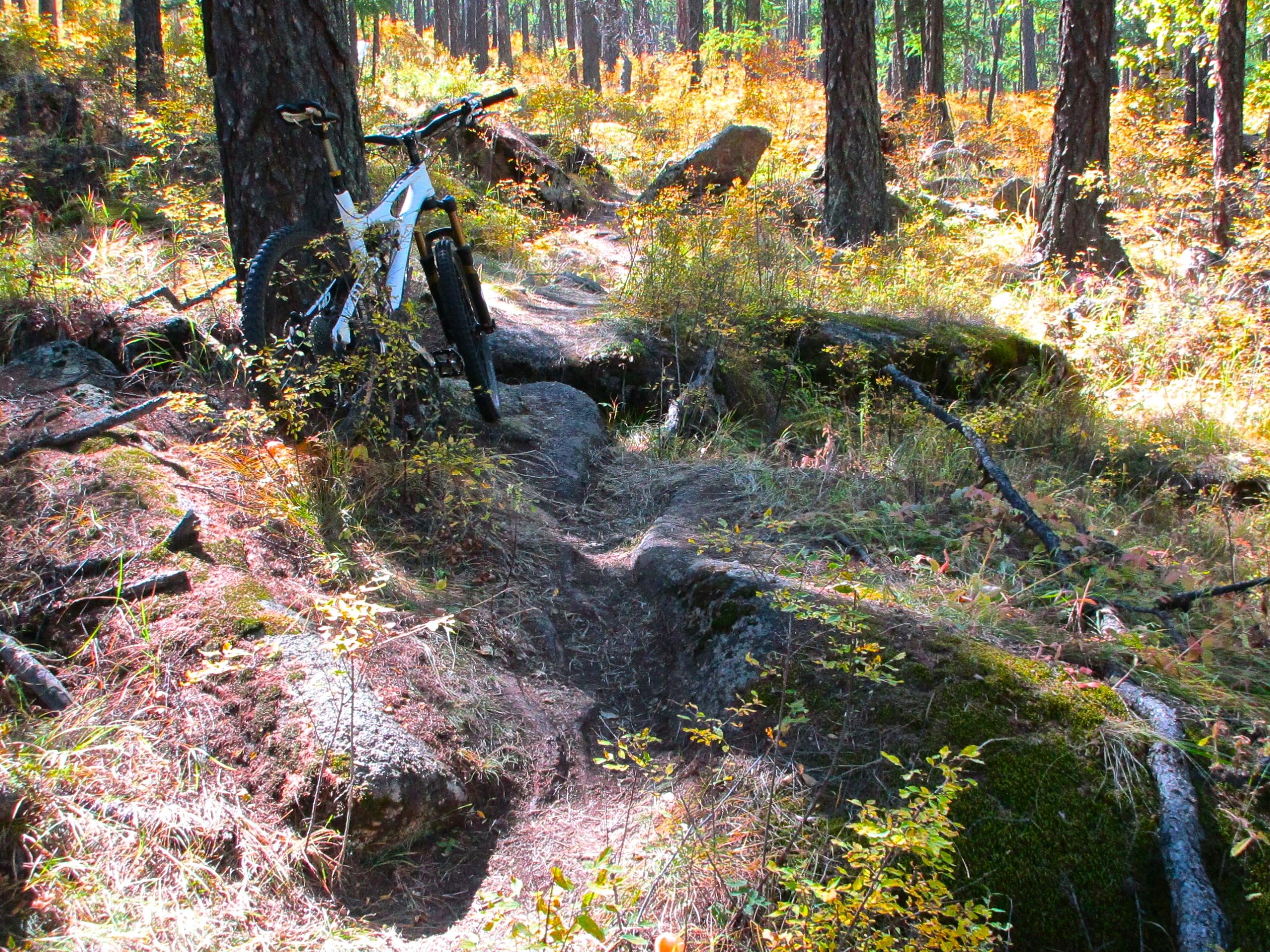A mountain bike leaning against a tree on a rocky forest trail, surrounded by colorful autumn foliage and tall pine trees. The path shows signs of use with visible tire tracks and natural obstacles. The Beast mountain bike trail.