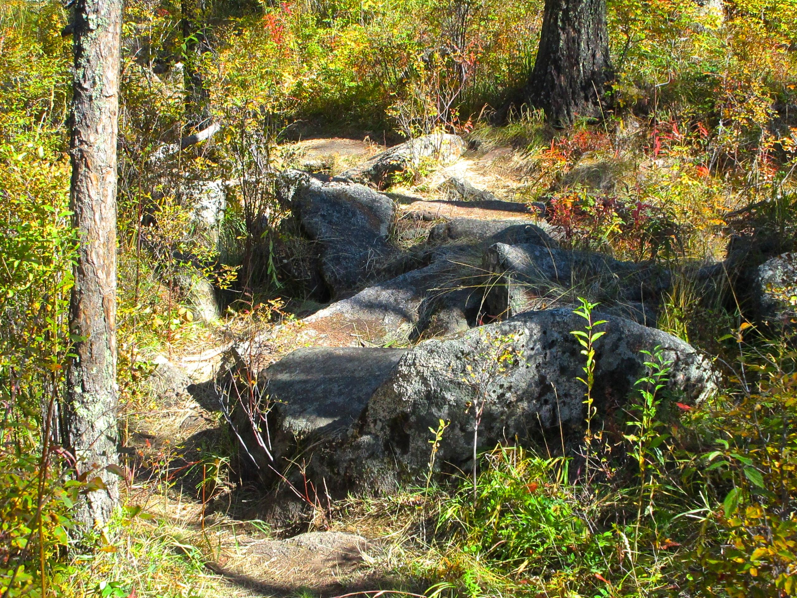 A rocky path winding through a vibrant forest during autumn, with colorful foliage and a mix of small shrubs surrounding large boulders and tree trunks. The Beast mountain bike trail.
