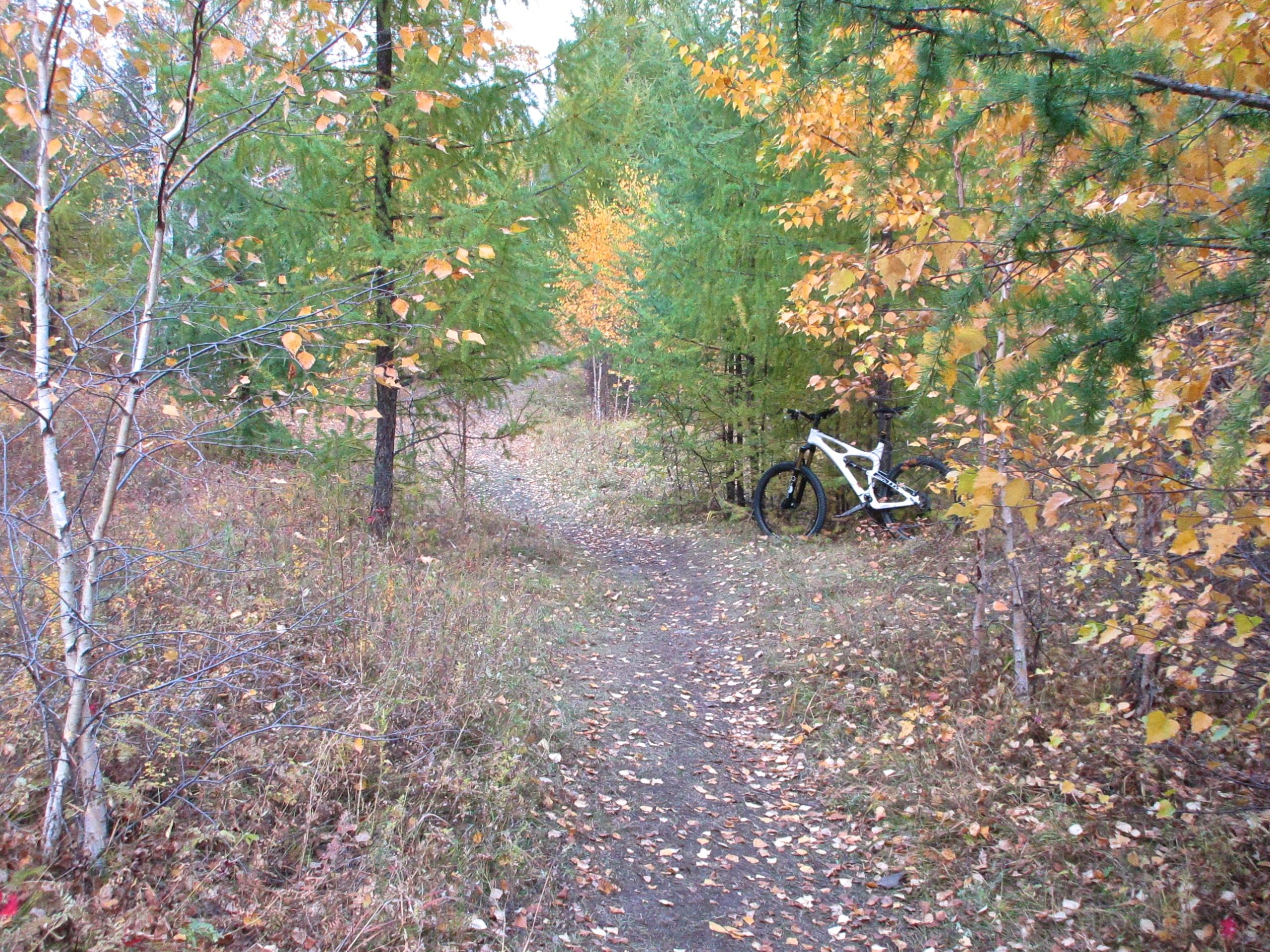 A narrow dirt path winding through a wooded area filled with trees displaying autumn foliage in shades of orange and yellow. A white mountain bike leans against a tree on the right side of the trail, surrounded by fallen leaves and greenery. Zaisan Chutes mountain bike trail.