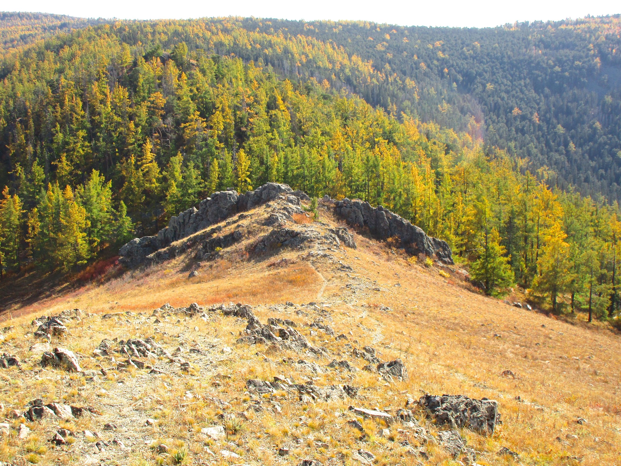 A scenic view of a mountainous landscape, featuring a rocky ridge in the foreground and a lush forest of coniferous trees in various shades of green and yellow in the background, under a clear blue sky. The terrain is characterized by rocky outcrops and grassy slopes, showcasing the beauty of nature in autumn. Zaisan Chutes mountain bike trail.