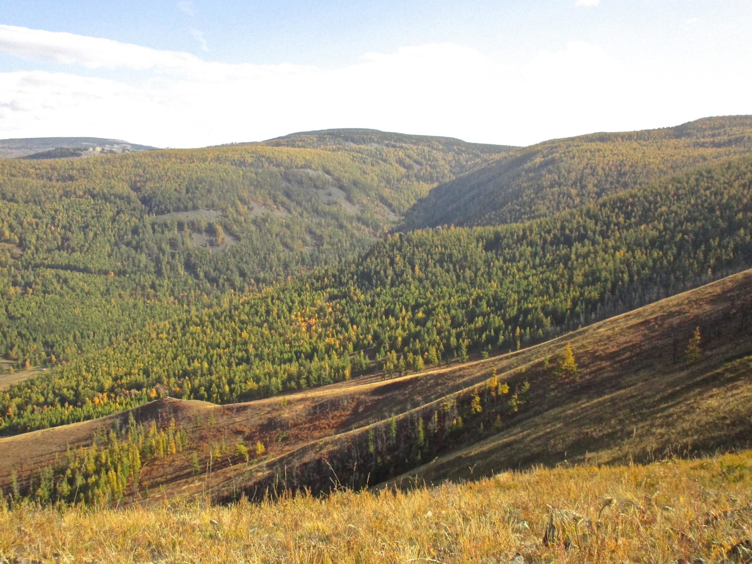 A scenic view of rolling hills covered in lush green trees, with some areas displaying autumn colors. The landscape features valleys and slopes, under a partly cloudy blue sky. The vibrant nature and tranquil setting suggest a remote, serene location. Zaisan Chutes mountain bike trail.