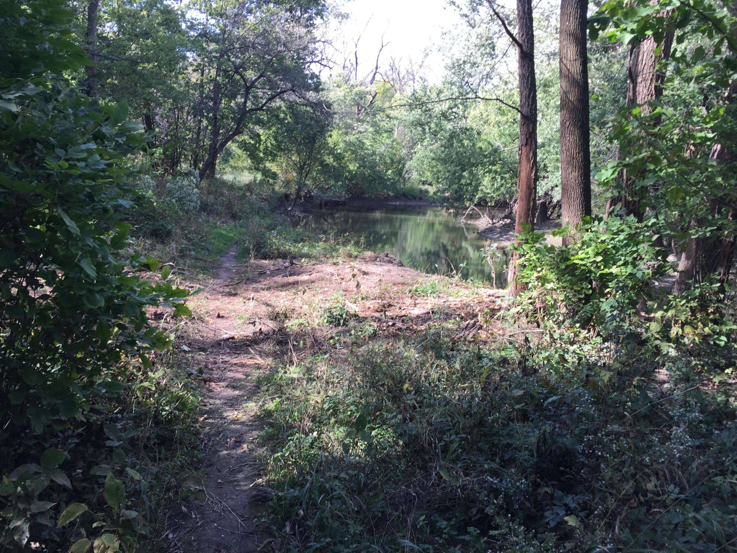 A serene view of a forested area beside a calm, reflective water body. The path is lined with lush greenery and trees, capturing the peaceful atmosphere of the natural setting. Sunlight filters through the leaves, creating a dappled effect on the ground. Forest Glen Woods mountain bike trail.