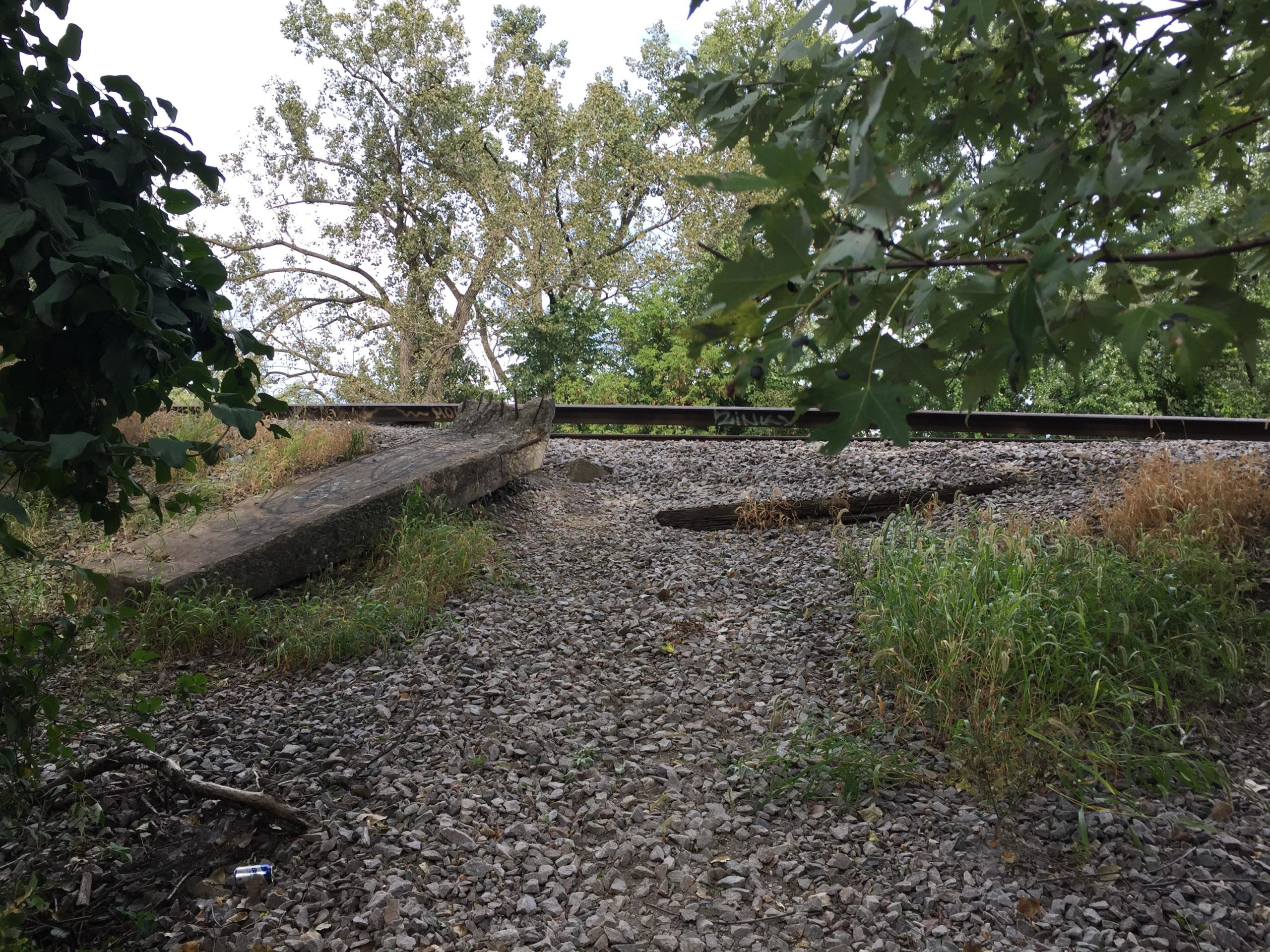 A view of a rural area featuring a weathered wooden beam near a gravel pathway, surrounded by lush greenery and trees. In the background, railroad tracks run parallel to the pathway, partially obscured by grass and foliage. Forest Glen Woods mountain bike trail.