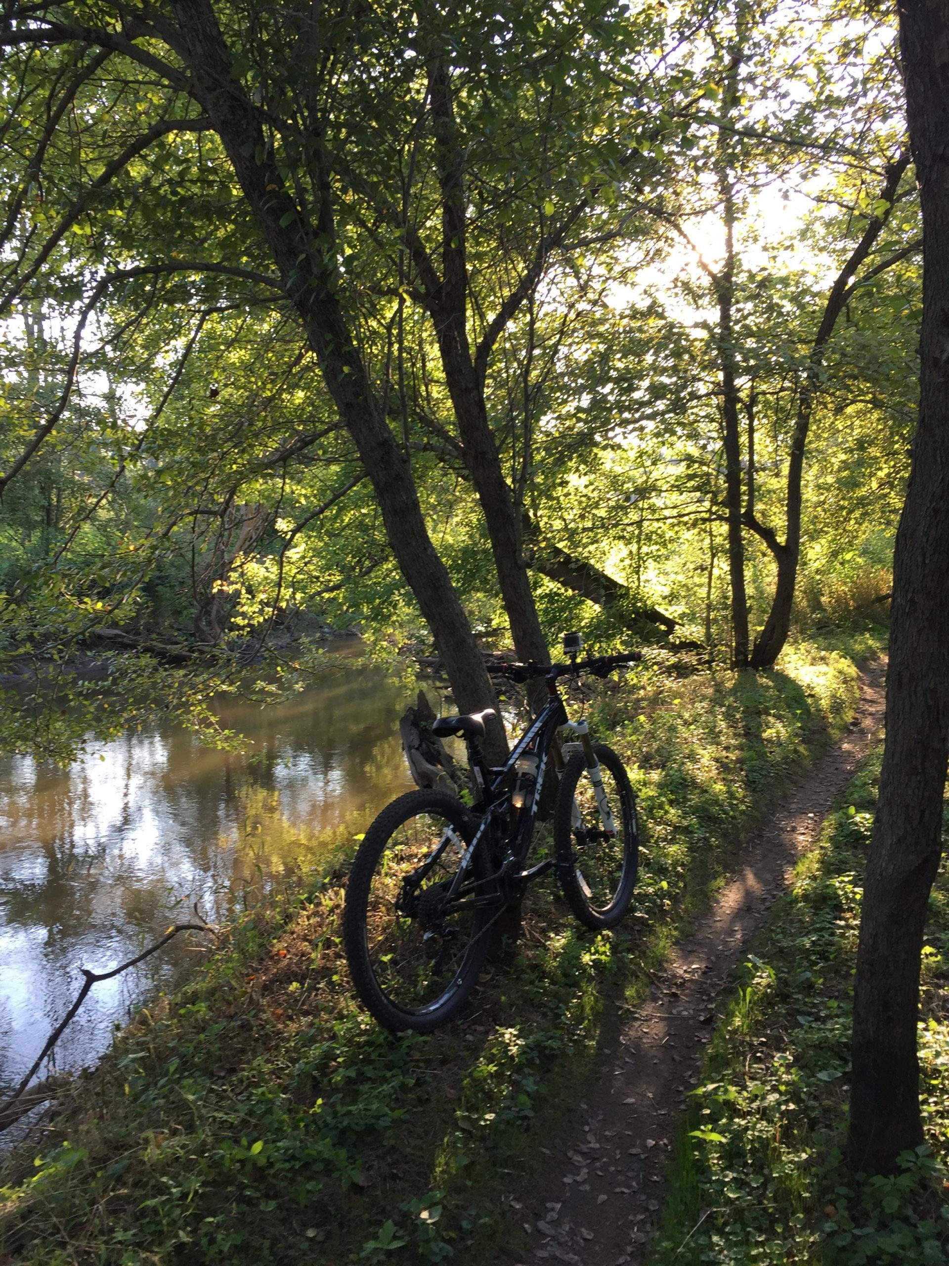 A mountain bike leaning against a tree along a narrow path beside a reflective river, surrounded by lush greenery and sunlight filtering through the leaves. Outback Trail at Imagination Glenn mountain bike trail.
