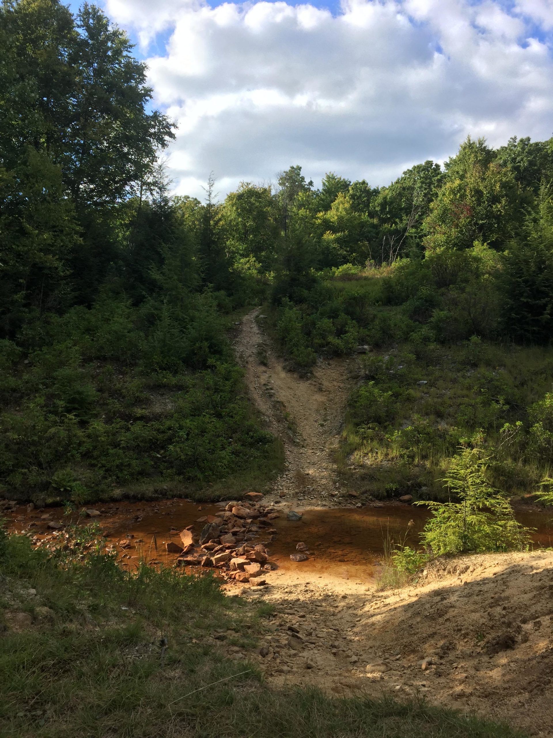 A serene landscape featuring a dirt path winding up a gentle hillside, surrounded by lush green trees and vegetation. In the foreground, there is a shallow pool of reddish-brown water, bordered by scattered rocks, while fluffy white clouds float in a partly sunny sky above. Big Bear Lake Trail Center mountain bike trail.
