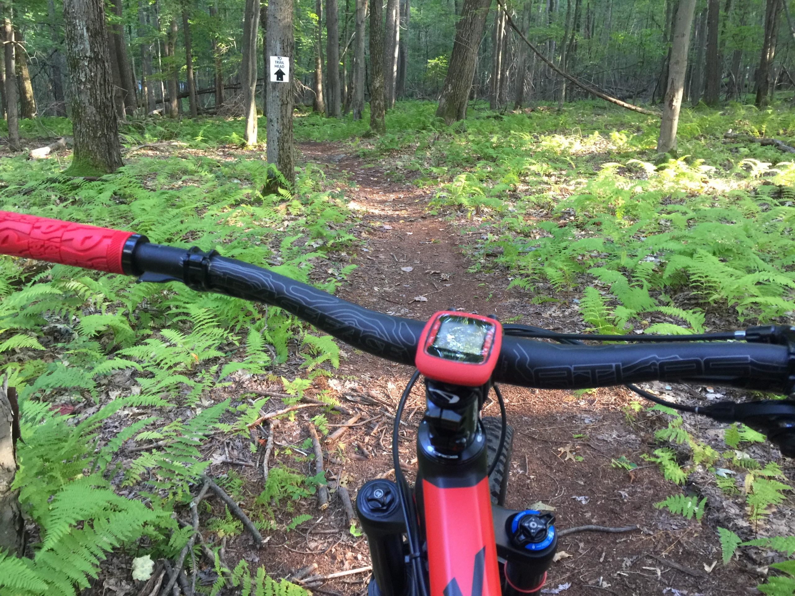 A view from the handlebars of a mountain bike, showing a dirt trail winding through a lush green forest filled with ferns. A trail sign is visible in the background, indicating direction. The bike's GPS device is mounted on the handlebars, along with red and black handlebar grips. Big Bear Lake Trail Center mountain bike trail.