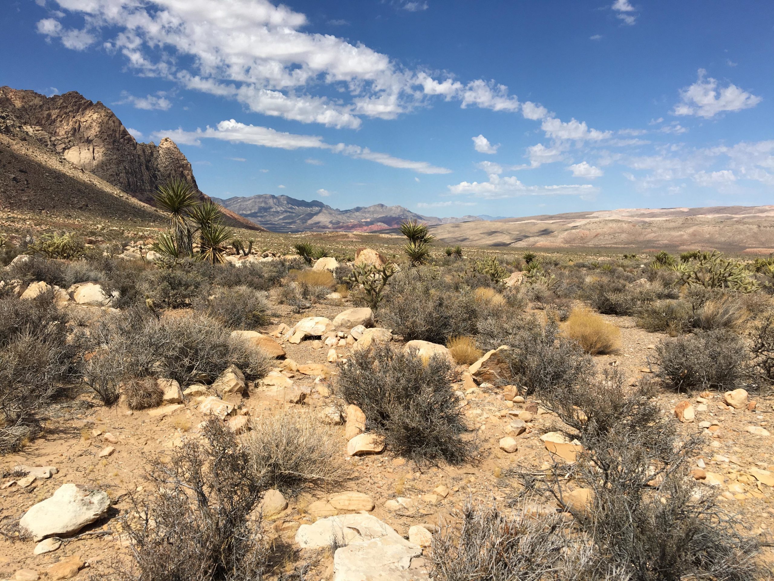 A panoramic view of a desert landscape featuring rocky mountains in the background, sparse vegetation including Yucca plants and shrubs, and a blue sky with scattered clouds. The terrain is mostly dry with various sizes of stones and sand visible. Cottonwood Valley North mountain bike trail.