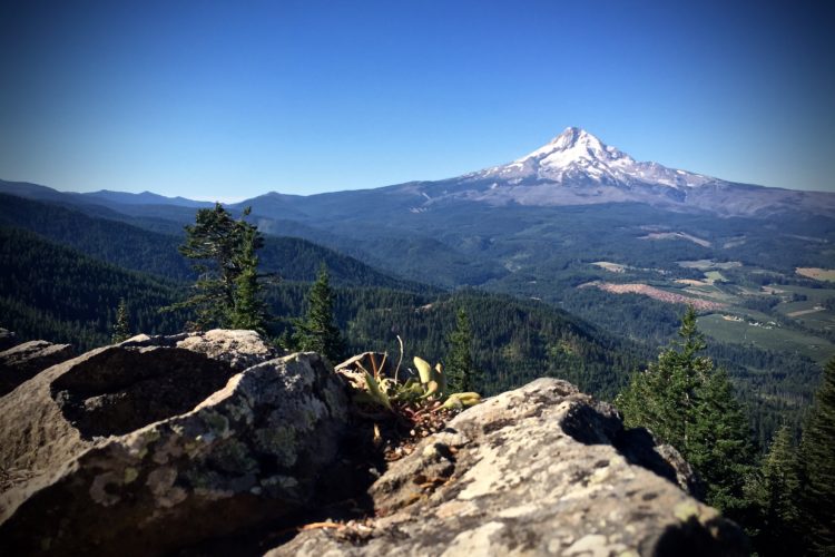 A scenic mountain landscape featuring a prominent snow-capped peak in the distance, surrounded by rolling hills and dense forests under a clear blue sky. In the foreground, rocky terrain with some vegetation adds depth to the view.
