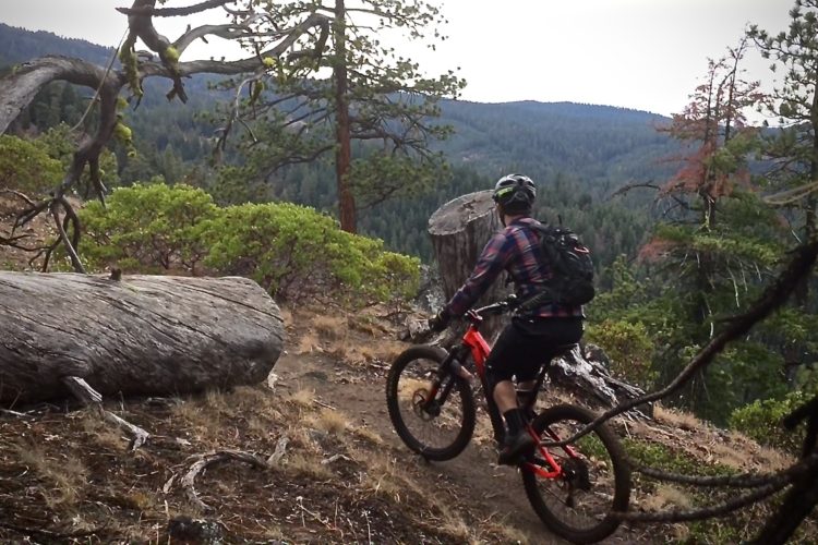 A mountain biker navigating a rocky trail surrounded by trees and lush greenery, with hills and forested mountains in the background.