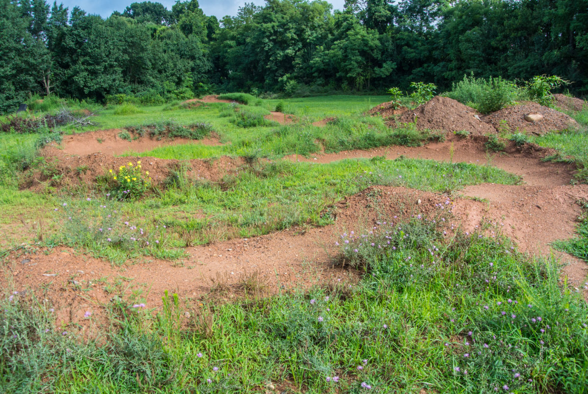 The office pumptrack; a little grown over with the heavy summer rains (photo: Aaron Chamberlain)