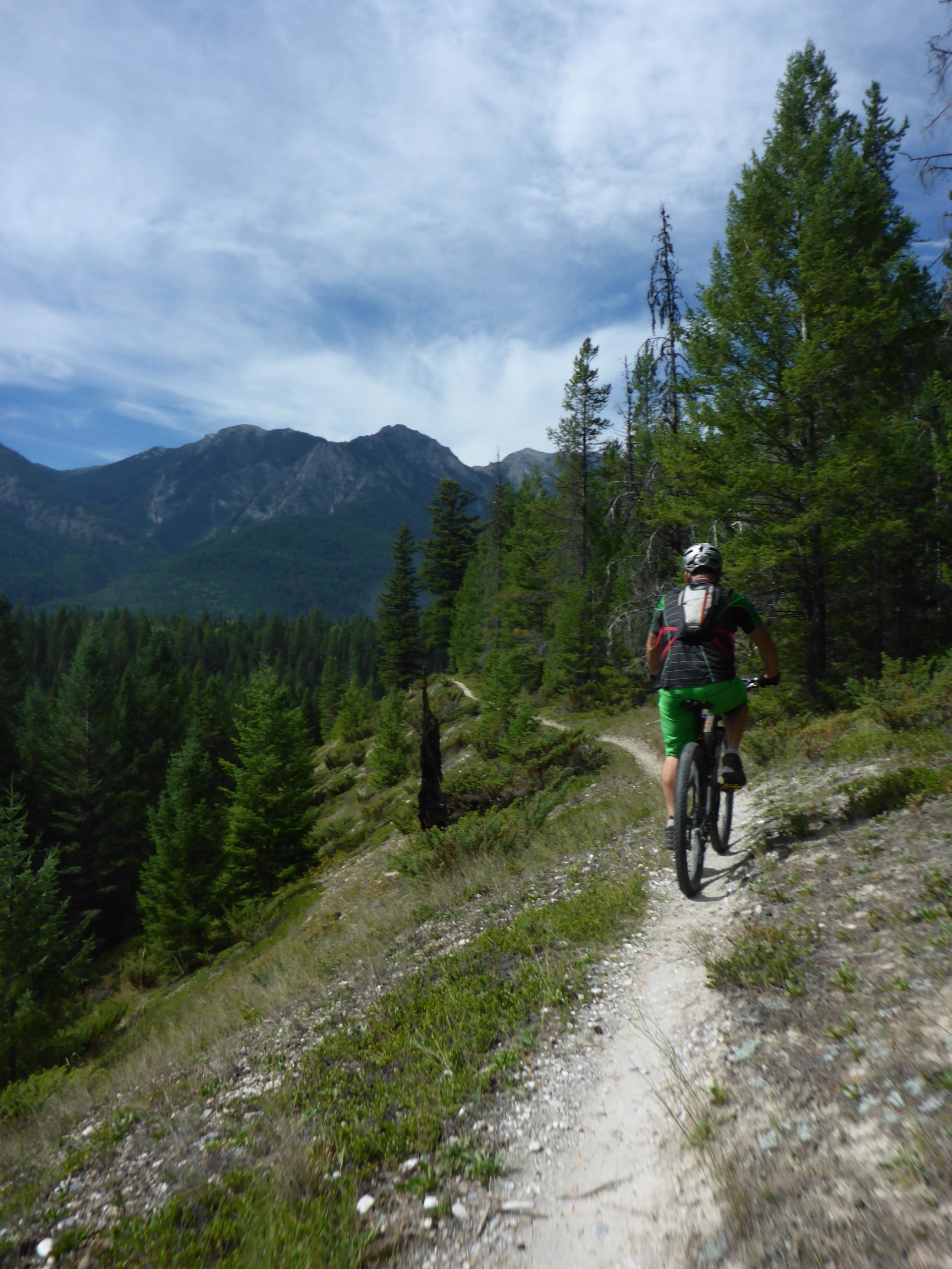 A mountain biker rides along a narrow dirt trail through a lush green forest, with towering mountains and a clear blue sky in the background. The trail winds through shrubs and grass, showcasing the natural beauty of the landscape. Nipika Mountain Resort mountain bike trail.