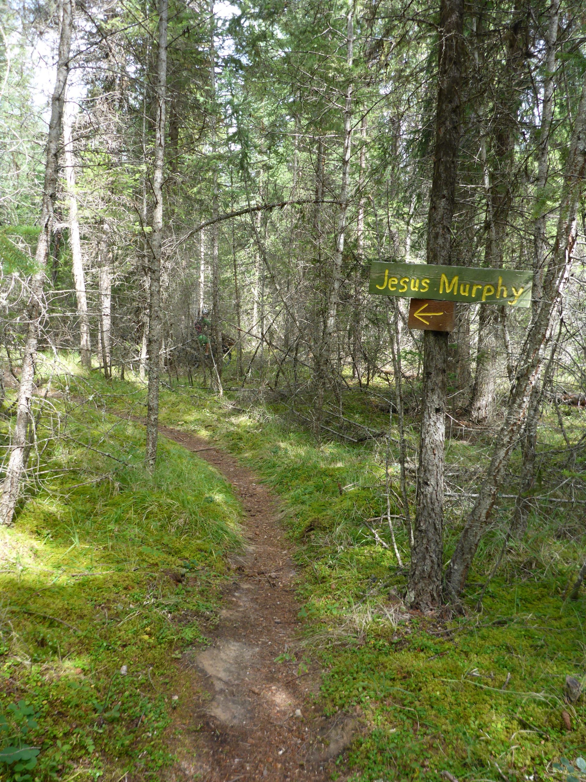 A narrow dirt path winding through a dense forest of tall trees, with a wooden sign on the right indicating "Jesus Murphy" with an arrow pointing left. The ground is covered in green moss and grass, creating a serene, natural environment. Nipika Mountain Resort mountain bike trail.