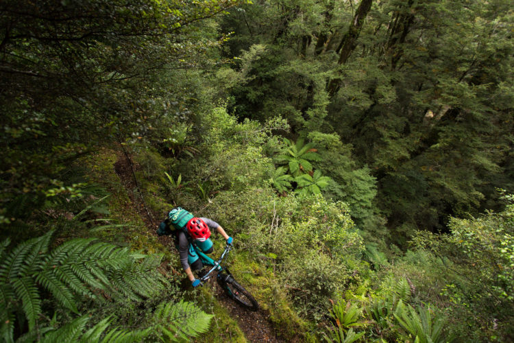 A mountain biker in a helmet and colorful gear navigates a narrow, overgrown trail surrounded by dense greenery and trees, showcasing the beauty of a forested landscape.