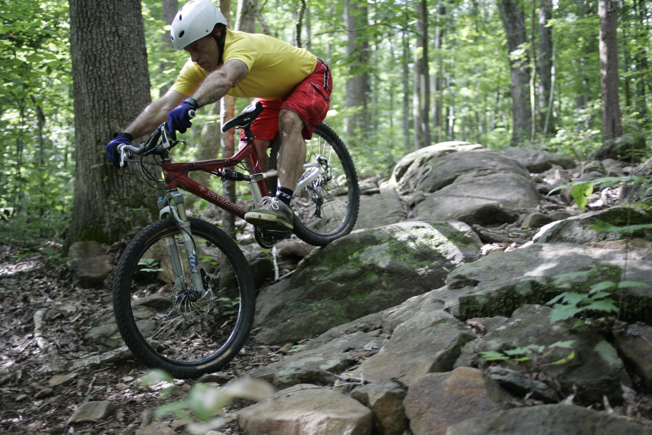 A mountain biker in a yellow shirt and red shorts skillfully navigates a rocky trail in a forested area, showcasing dynamic movement and balance against a backdrop of green trees and rocky terrain. San-lee Park mountain bike trail.