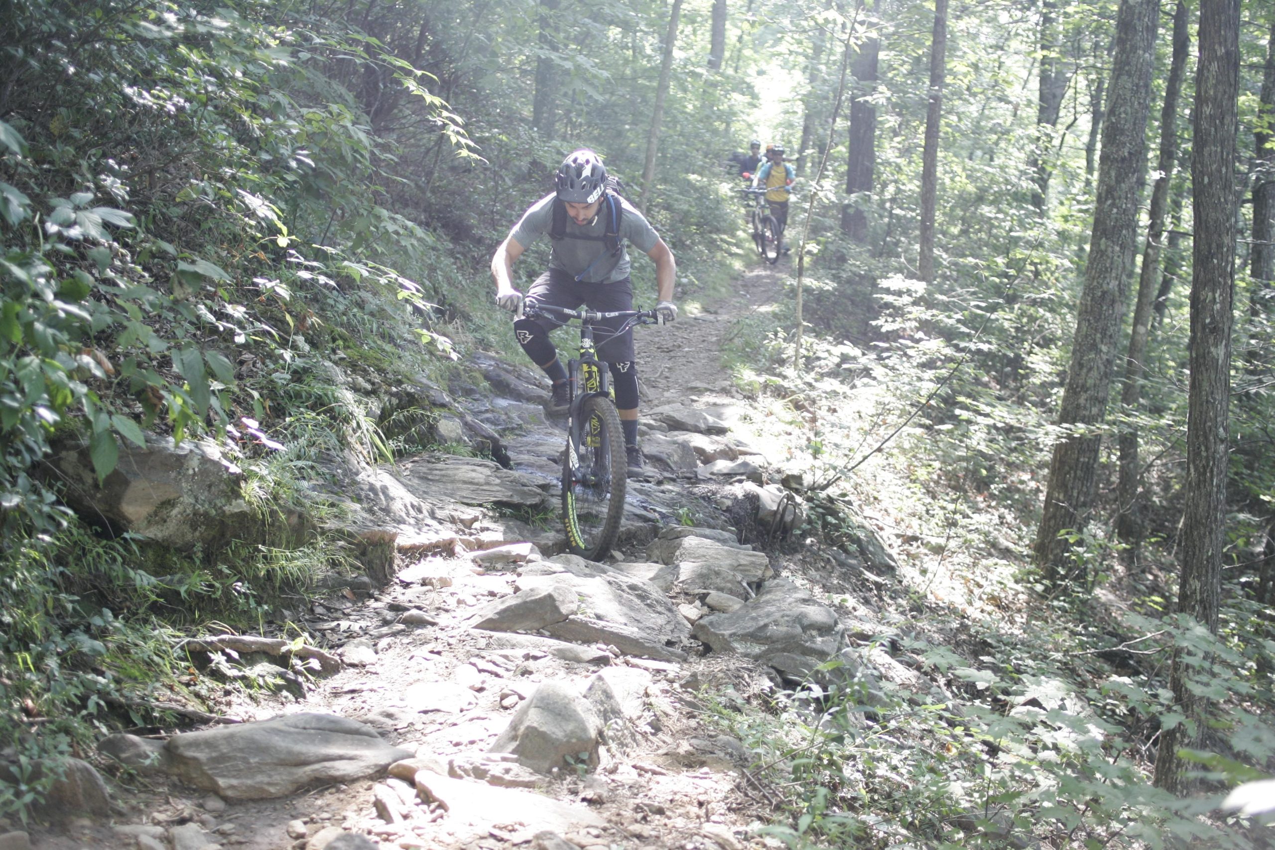 Mountain bikers navigating a rocky trail in a dense forest, with sunlight filtering through the trees. Laurel Mountain mountain bike trail.