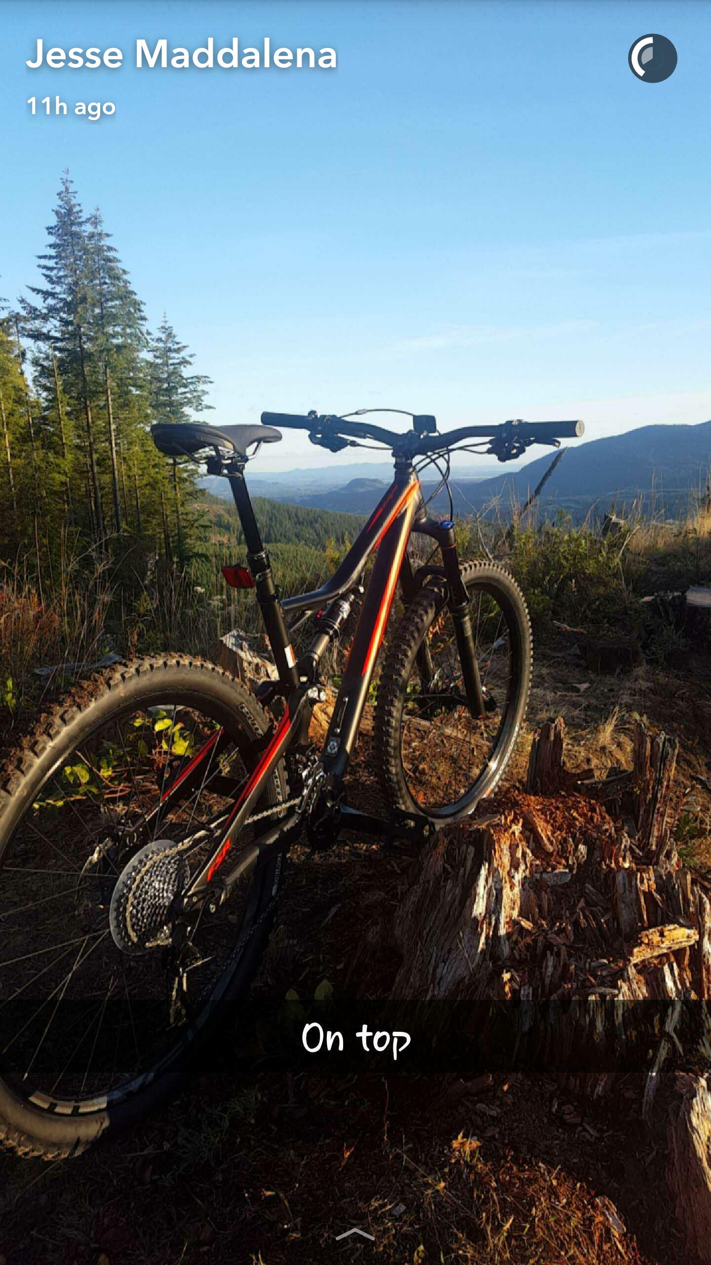 Specialized Stumpjumper FSR Comp 29: A mountain bike resting on a tree stump with a scenic view of rolling hills and trees in the background. The sky is clear, and the sunlight casts warm tones on the landscape. The image conveys a sense of adventure and outdoor exploration.