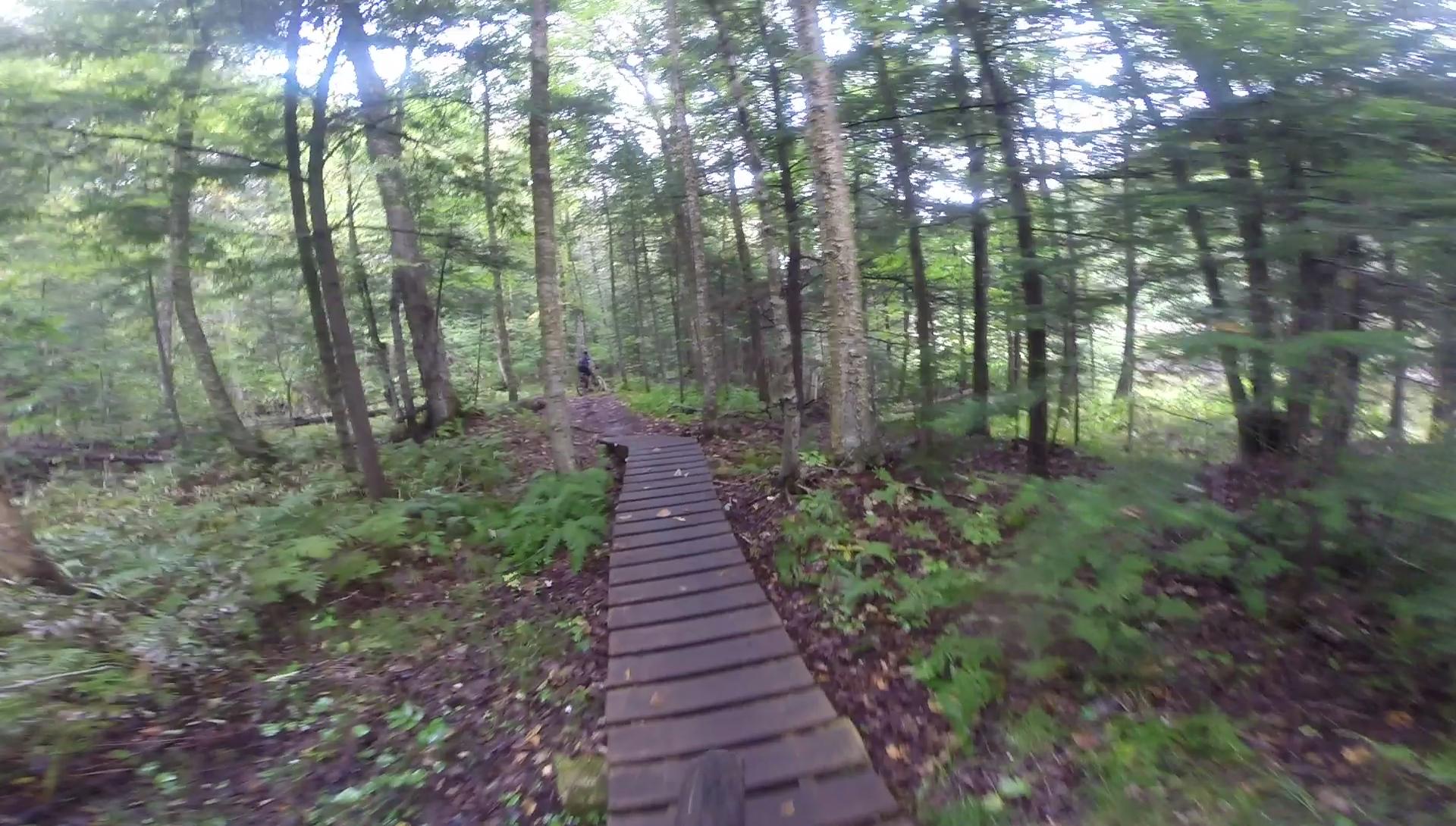 A winding wooden boardwalk pathway through a lush green forest, surrounded by tall trees and ferns, inviting exploration and adventure. Kingdom Trails mountain bike trail.