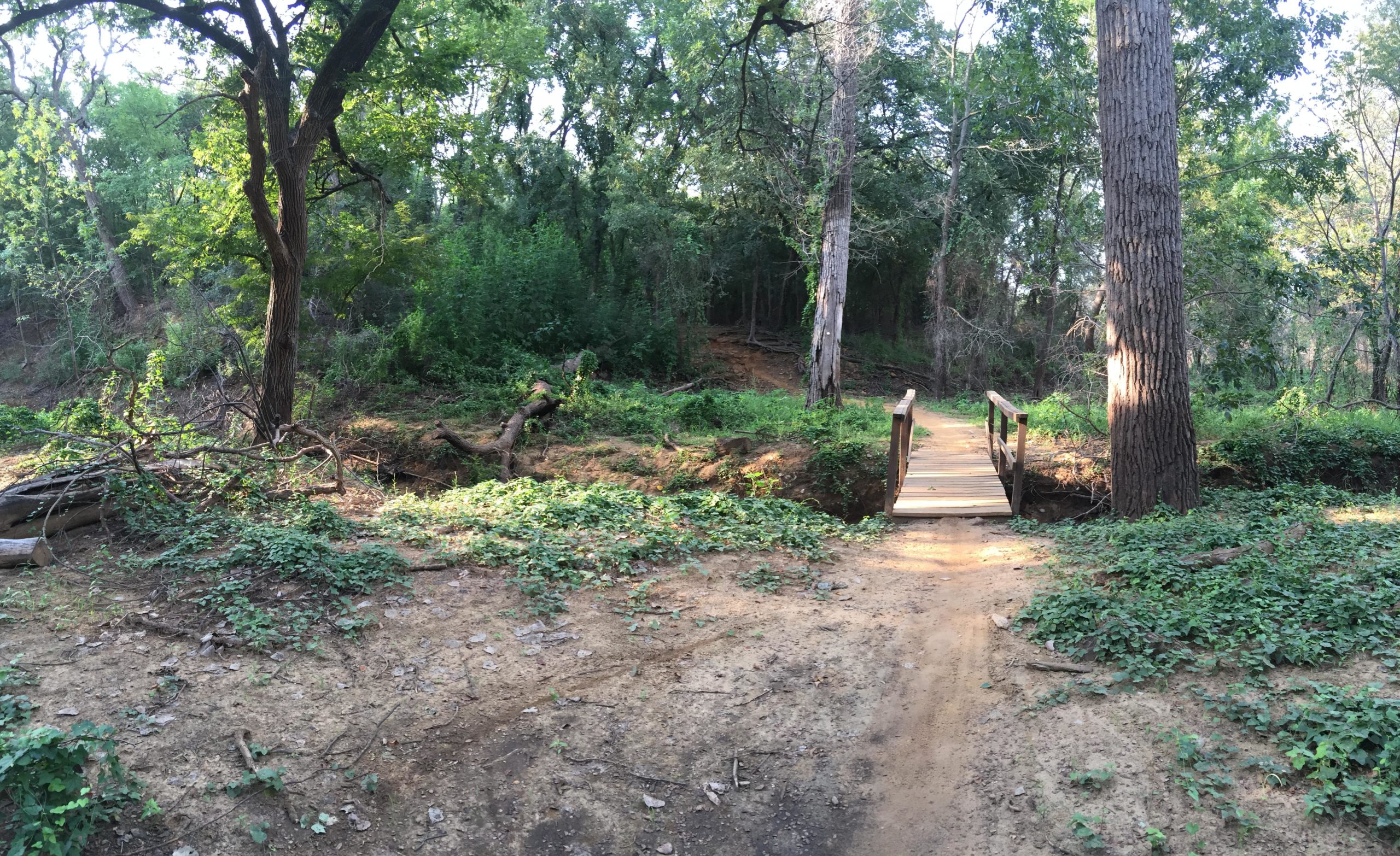 A wooden footbridge crossing over a small ravine, surrounded by lush green foliage and tall trees in a wooded area. Sunlight filters through the leaves, illuminating the sandy path leading to the bridge. The scene conveys a peaceful and natural environment. Northshore Trail mountain bike trail.