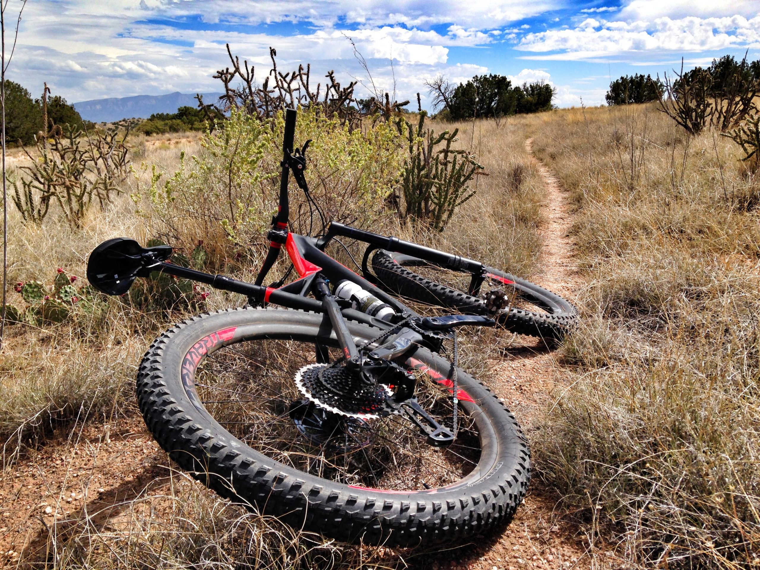 A mountain bike lies on its side in a grassy field with sparse vegetation and cacti. A narrow dirt path meanders through the landscape under a partly cloudy sky, with distant mountains visible in the background. Mariposa Fat Bike Trails mountain bike trail.