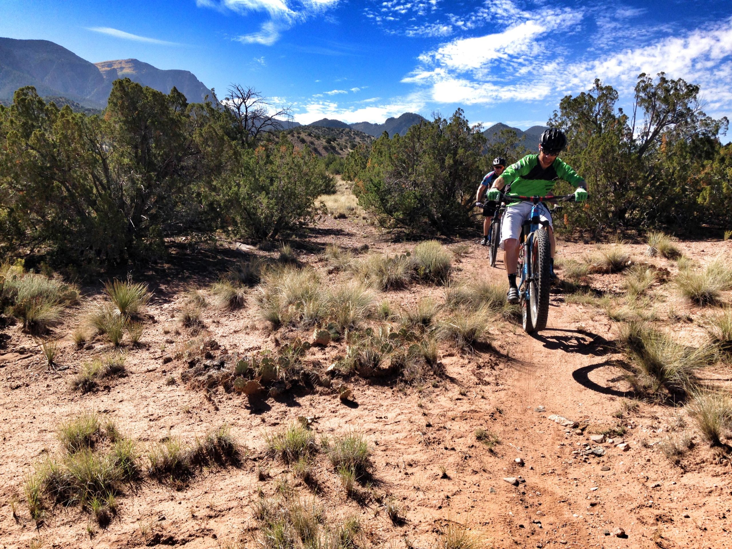 Two mountain bikers riding on a dirt trail surrounded by shrubs and grasses, with mountains in the background and a blue sky dotted with clouds. One biker is standing on their pedals, lifting the front wheel off the ground, while the other follows closely behind. Placitas Trails mountain bike trail.