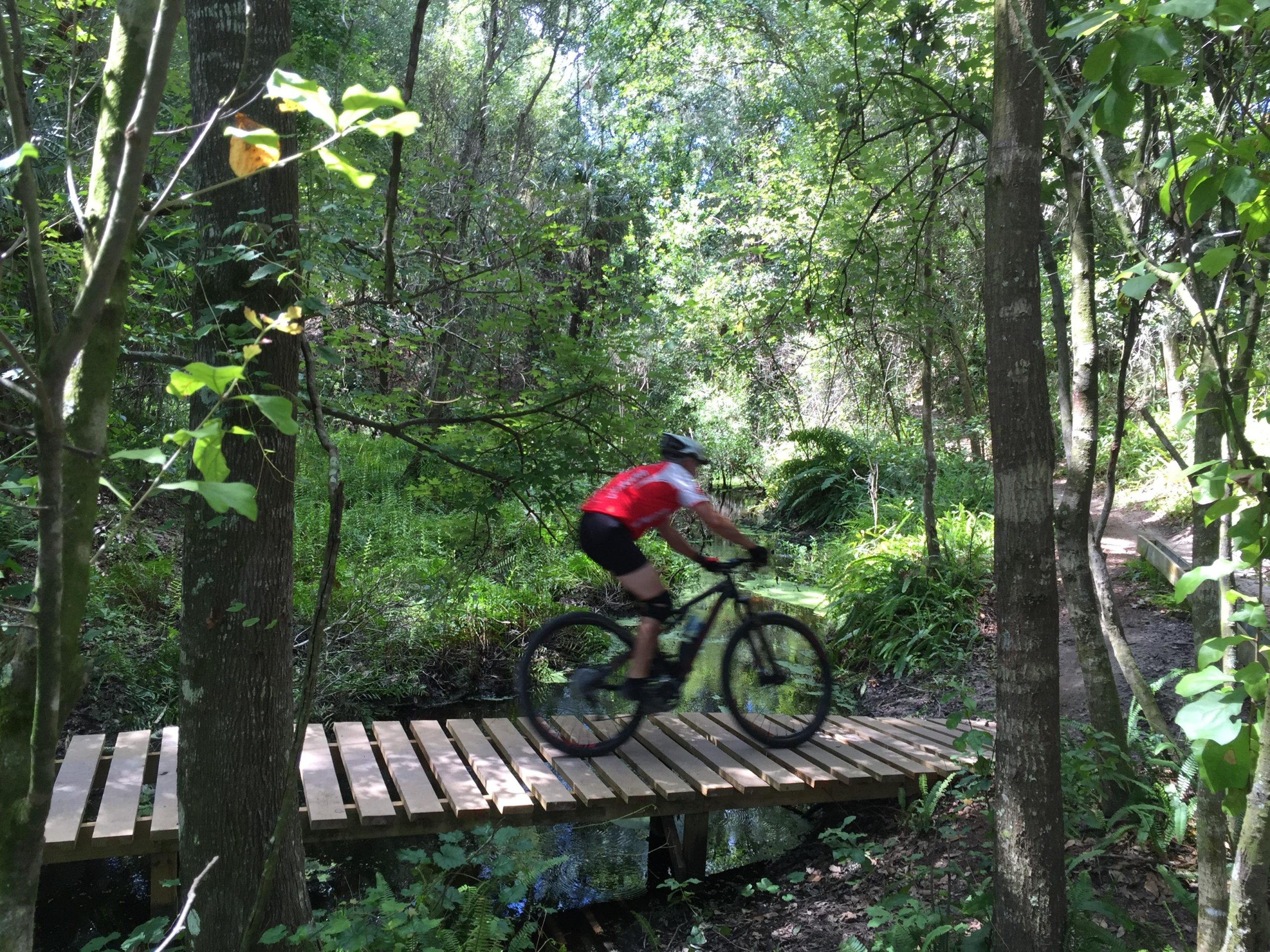 A mountain biker wearing a red jersey rides across a wooden bridge in a lush green forest. The scene is characterized by dense foliage and trees, creating a vibrant outdoor atmosphere. Alafia River State Park mountain bike trail.
