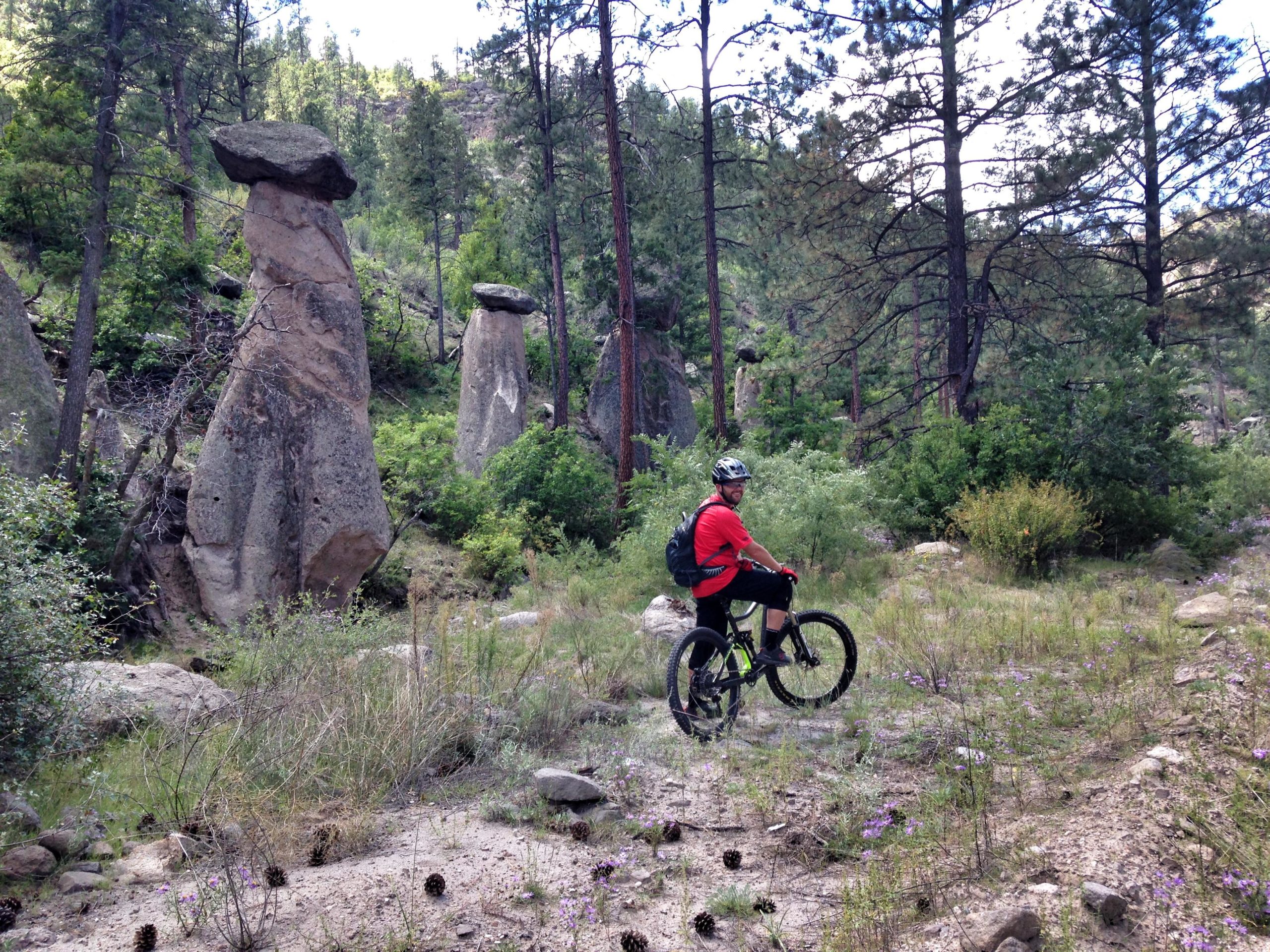 A mountain biker in a red shirt and helmet pauses on a trail surrounded by towering rock formations and dense greenery, with pine trees in the background. The ground is dotted with wildflowers and pine cones. Los Alamos County Trails mountain bike trail.