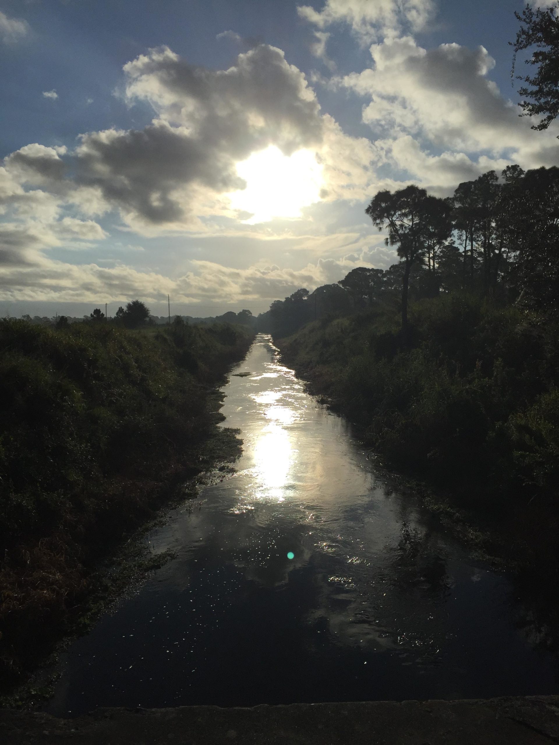 A serene landscape featuring a tranquil waterway reflecting the sunlight, surrounded by greenery and trees under a partly cloudy sky. The sun is setting behind the clouds, casting a warm glow on the scene. Cypress Creek Natural Area mountain bike trail.