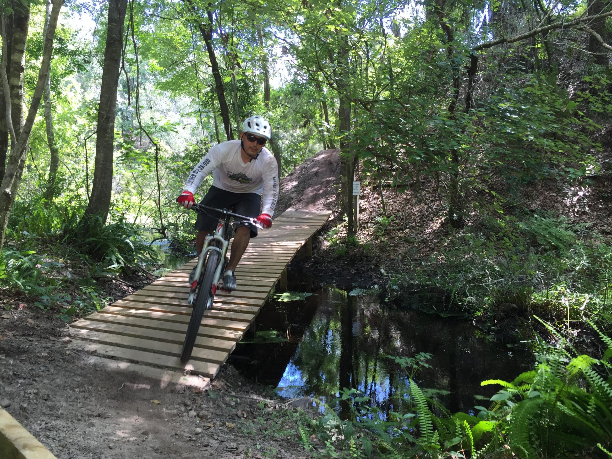 A person riding a mountain bike on a wooden bridge over a small stream in a lush, green forest setting. The cyclist is wearing a white long-sleeve shirt, shorts, and a helmet, while surrounded by trees and ferns with dappled sunlight filtering through the leaves. Alafia River State Park mountain bike trail.