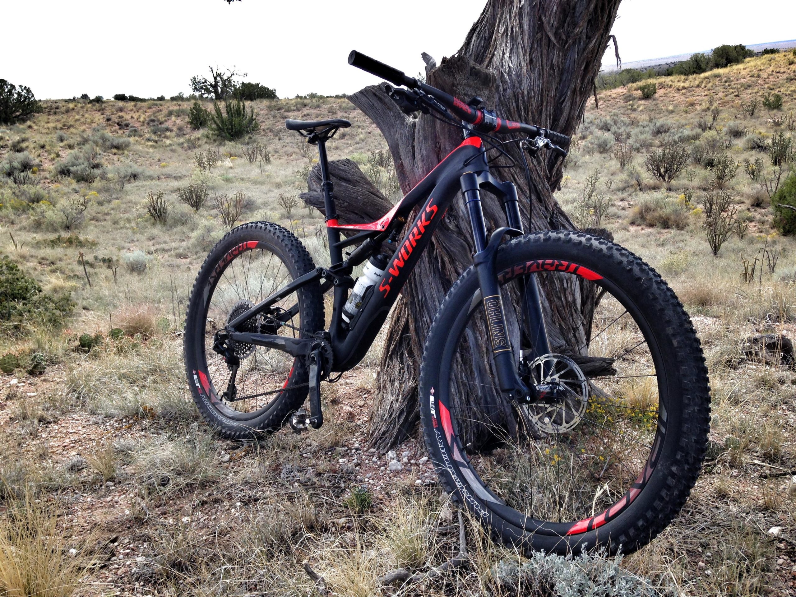A black and red mountain bike leaning against a gnarly tree in a dry, rugged landscape with sparse vegetation and rolling hills in the background. Mariposa Fat Bike Trails mountain bike trail.