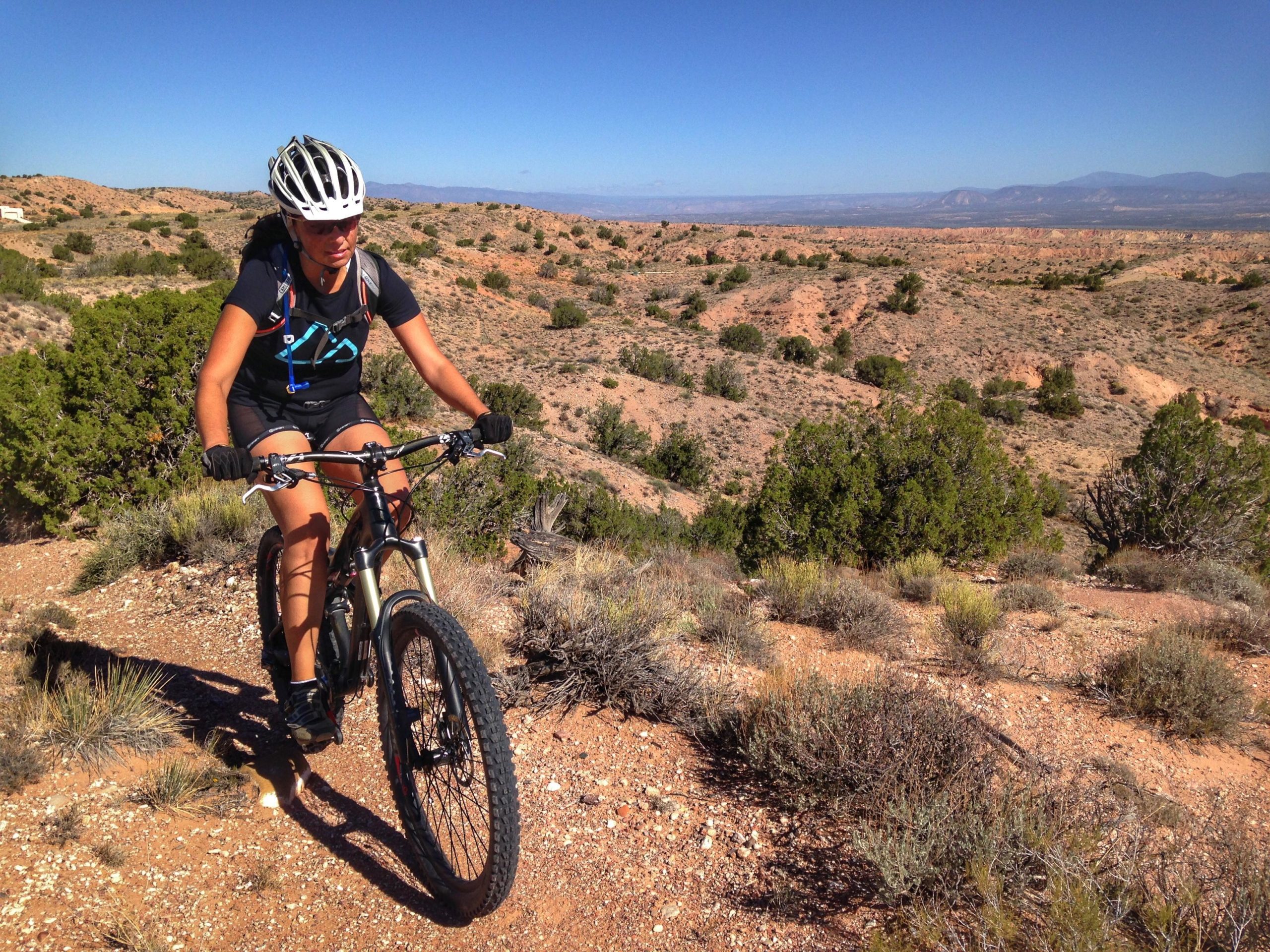 A person riding a mountain bike on a rocky, desert trail with a clear blue sky in the background. Surrounding vegetation includes shrubs and small trees, with a view of rolling hills and distant mountains. The cyclist is wearing a helmet and athletic gear, focused on the path ahead. Mariposa Fat Bike Trails mountain bike trail.