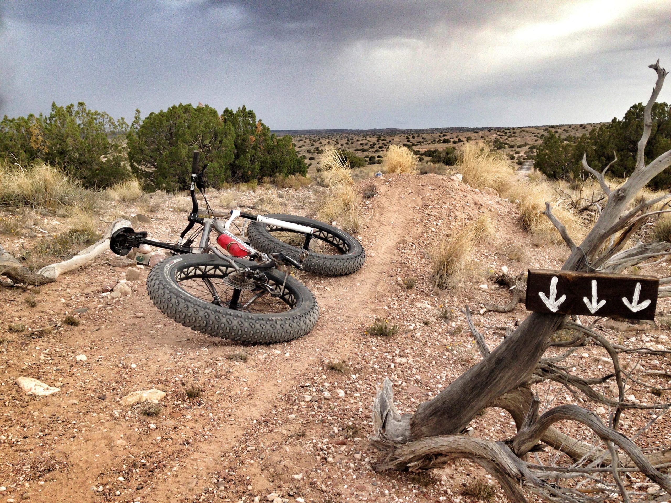 A mountain bike lies on its side on a dusty trail, surrounded by sparse vegetation and rocky terrain. In the background, a cloudy sky looms over the landscape, while a wooden sign with three downward arrows points along the path. The scene captures the essence of outdoor biking adventures. Mariposa Fat Bike Trails mountain bike trail.
