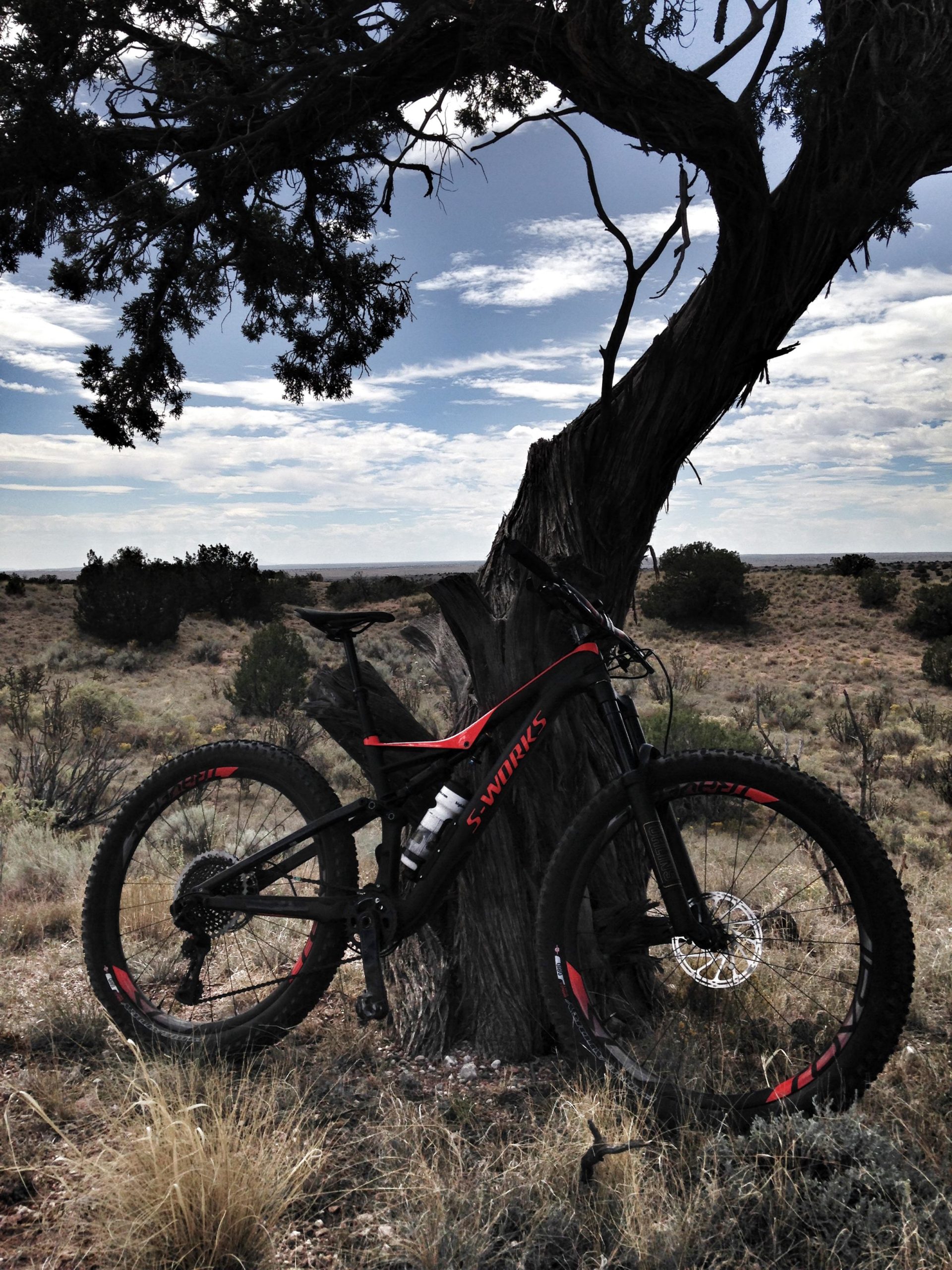 A mountain bike leaning against a gnarled tree in a desert landscape, with sparse vegetation and a cloudy sky in the background. The bike features black and red accents and sits on rocky ground amidst tall grasses. Mariposa Fat Bike Trails mountain bike trail.