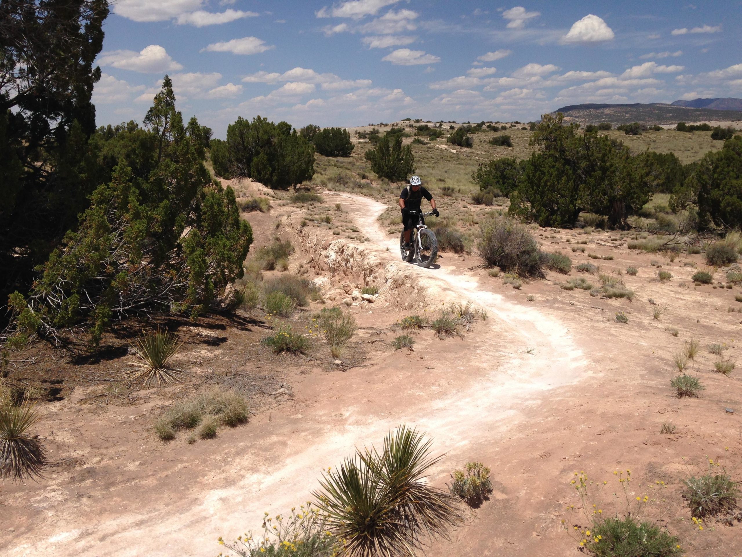 A mountain biker rides along a dirt trail in a rugged outdoor landscape, surrounded by sparse vegetation and low bushes under a partly cloudy sky. White Ridge Bike Trails mountain bike trail.