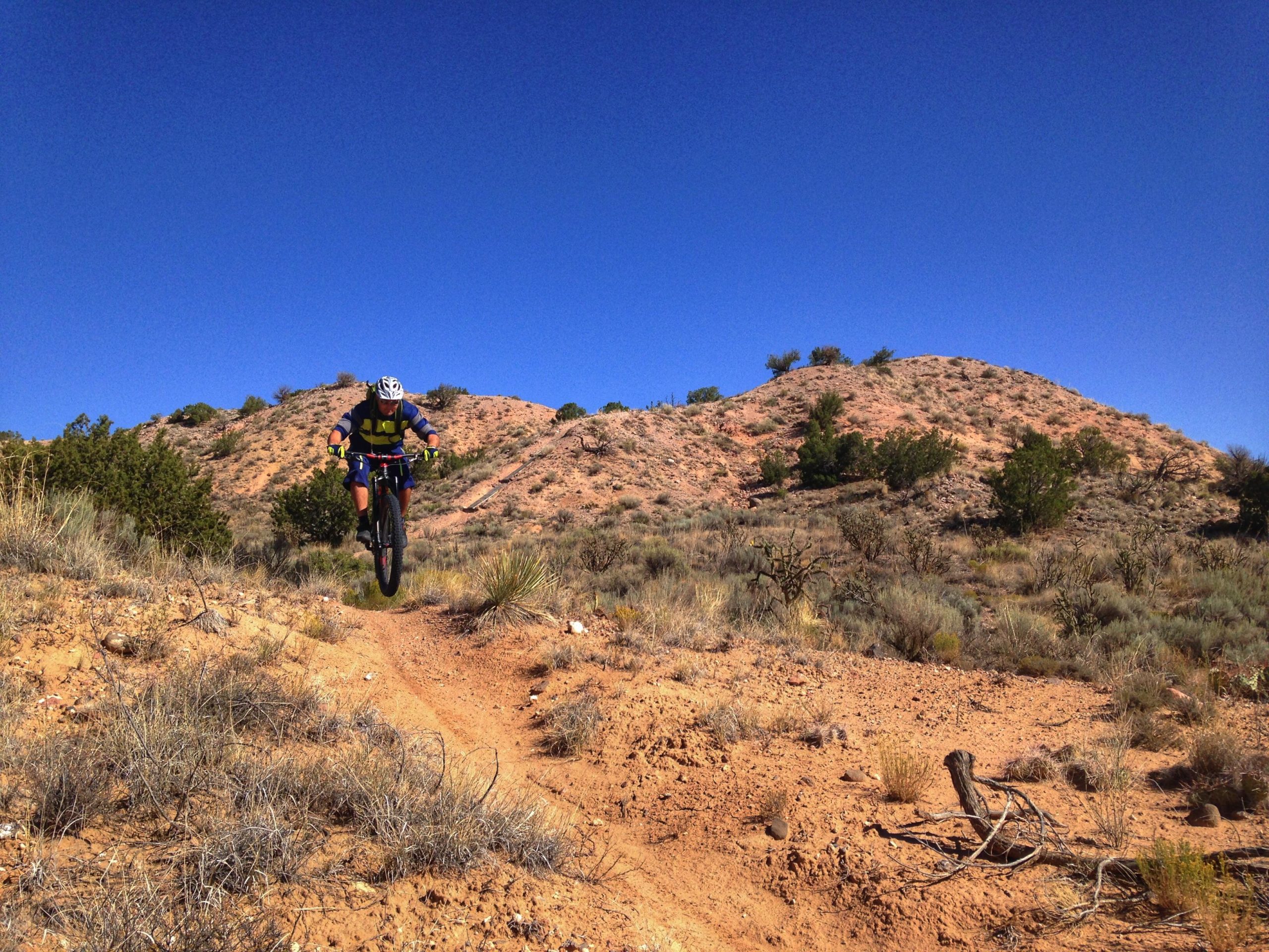A mountain biker in mid-air jumps over a dirt trail on a desert landscape, with hills and sparse vegetation under a clear blue sky. Mariposa Fat Bike Trails mountain bike trail.