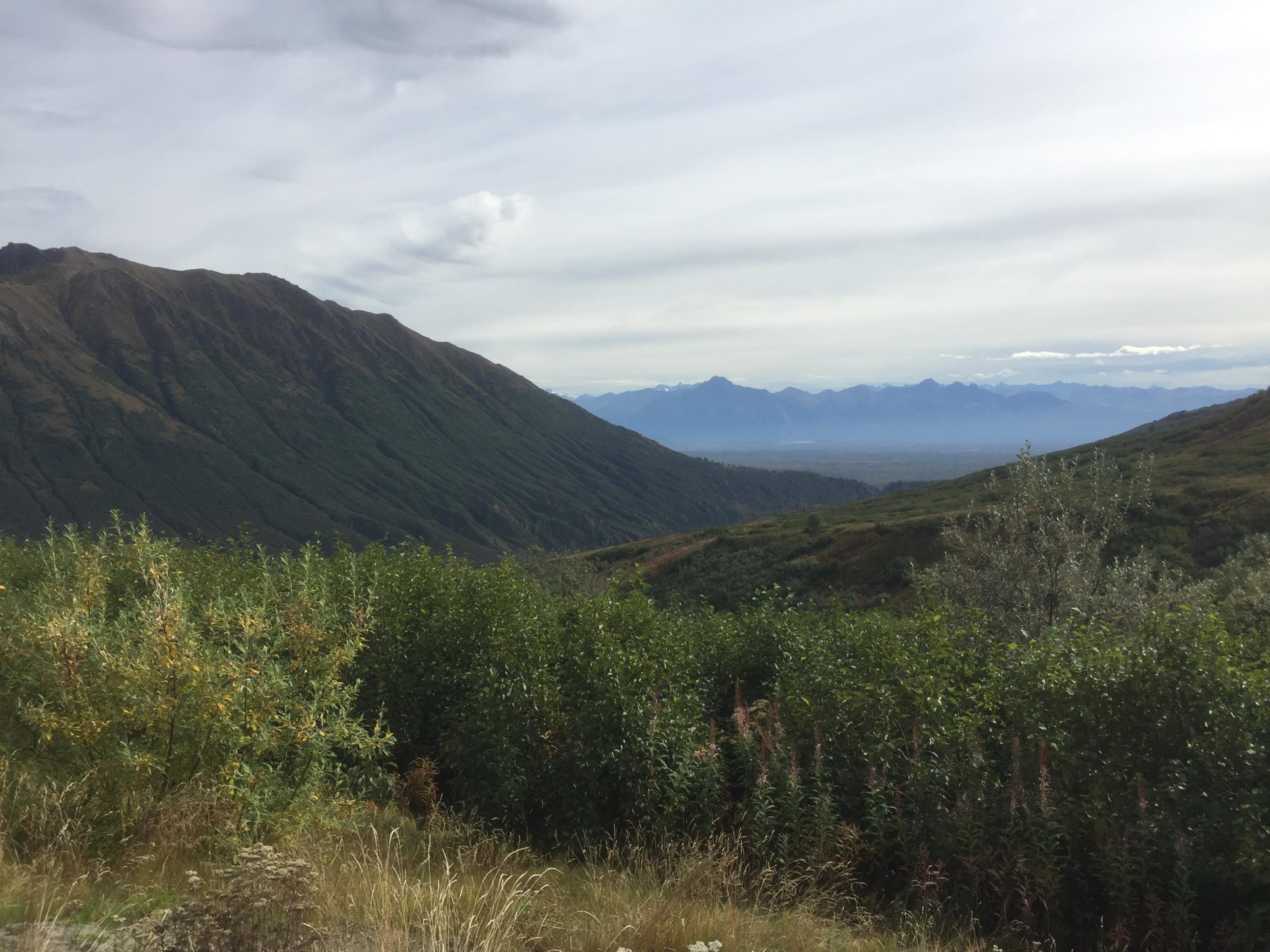 A scenic view of lush green hills and mountains under a cloudy sky, with layers of distant peaks fading into the horizon. The foreground features dense bushes and grasses, adding to the natural beauty of the landscape. 16 Mile Hatcher Pass mountain bike trail.