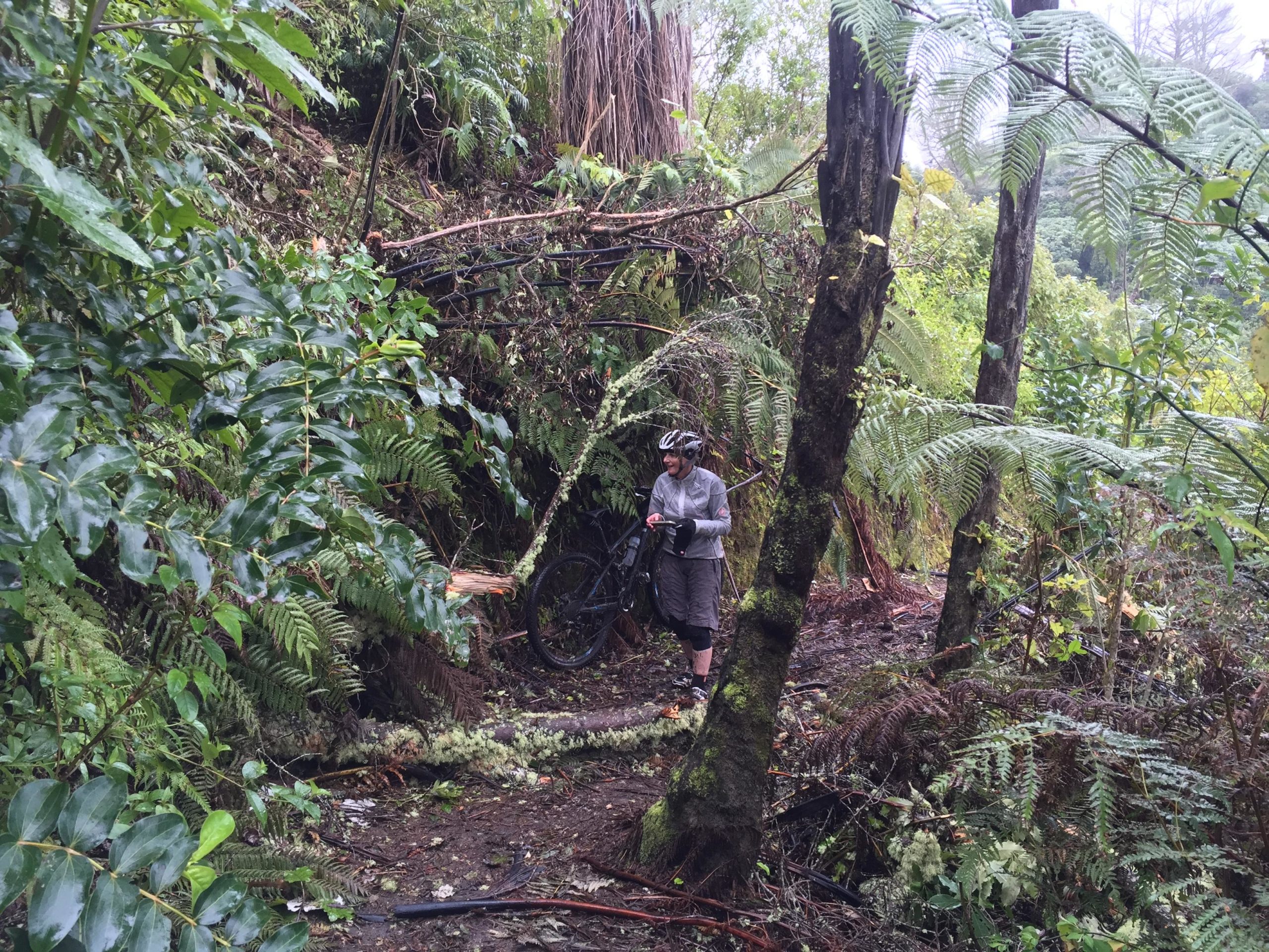 A cyclist stands beside their mountain bike in a lush, green forested area, surrounded by dense ferns and tropical vegetation. The scene is slightly rainy, with wet foliage and earthy trails visible. The cyclist is wearing a helmet and a light jacket while checking their gear. Great Lake Trails mountain bike trail.