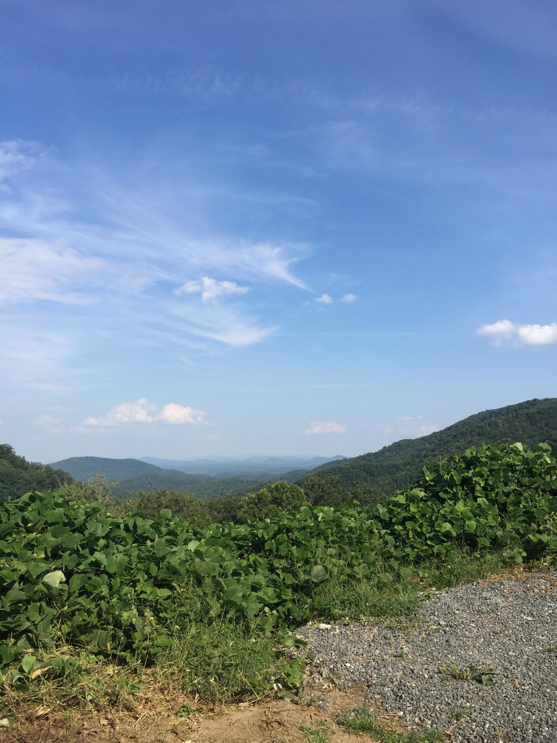 A panoramic view of rolling hills and mountains under a bright blue sky with wispy clouds. Lush greenery and vegetation line the foreground, with rocky terrain visible on the right side of the image. Kitsuma mountain bike trail.