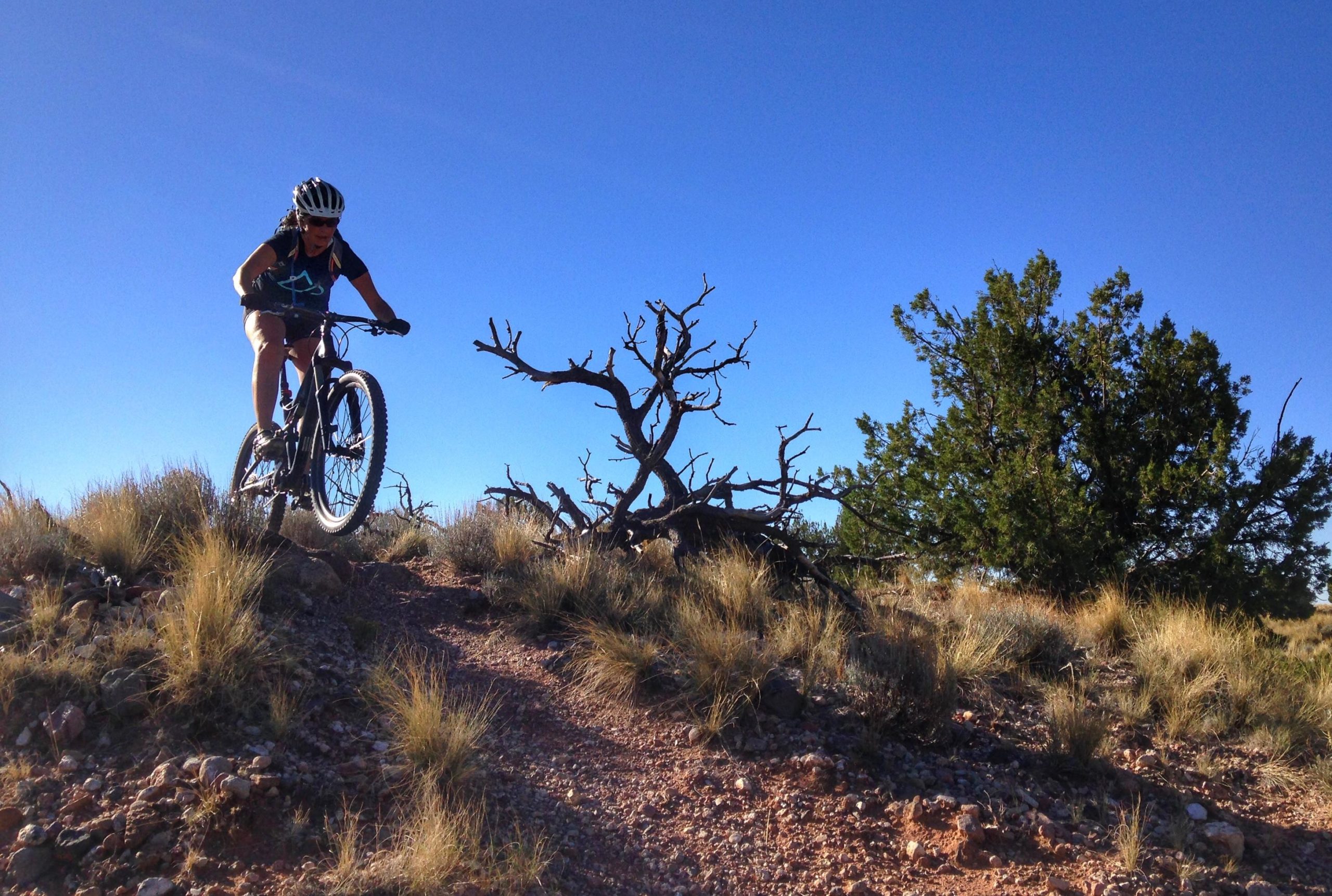 Mountain biker navigating a rugged trail with dry grass and sparse vegetation under a clear blue sky. A dead tree and a green bush are visible in the background, showcasing a natural outdoor setting. Mariposa Fat Bike Trails mountain bike trail.