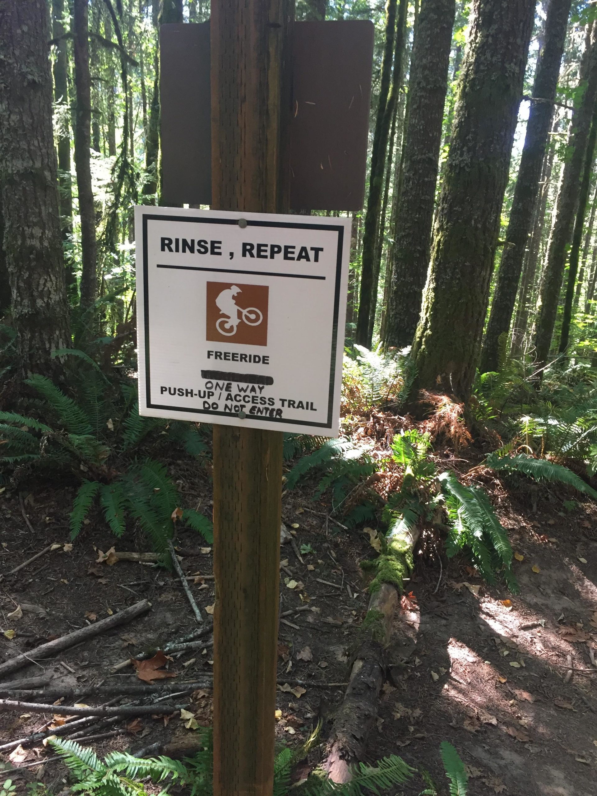 A sign in a forested area indicating a mountain biking trail, featuring the text "RINSE, REPEAT" at the top. Below, it states "FRERIDE" and "ONE WAY: PUSH-UP ACCESS TRAIL - DO NOT ENTER." The sign is mounted on a wooden post surrounded by green ferns and trees. Stub Steward State Park mountain bike trail.
