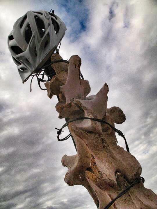 A white bicycle helmet is perched on top of a tall, pale bone structure, with wires wrapped around it, against a cloudy sky backdrop. Mariposa Fat Bike Trails mountain bike trail.