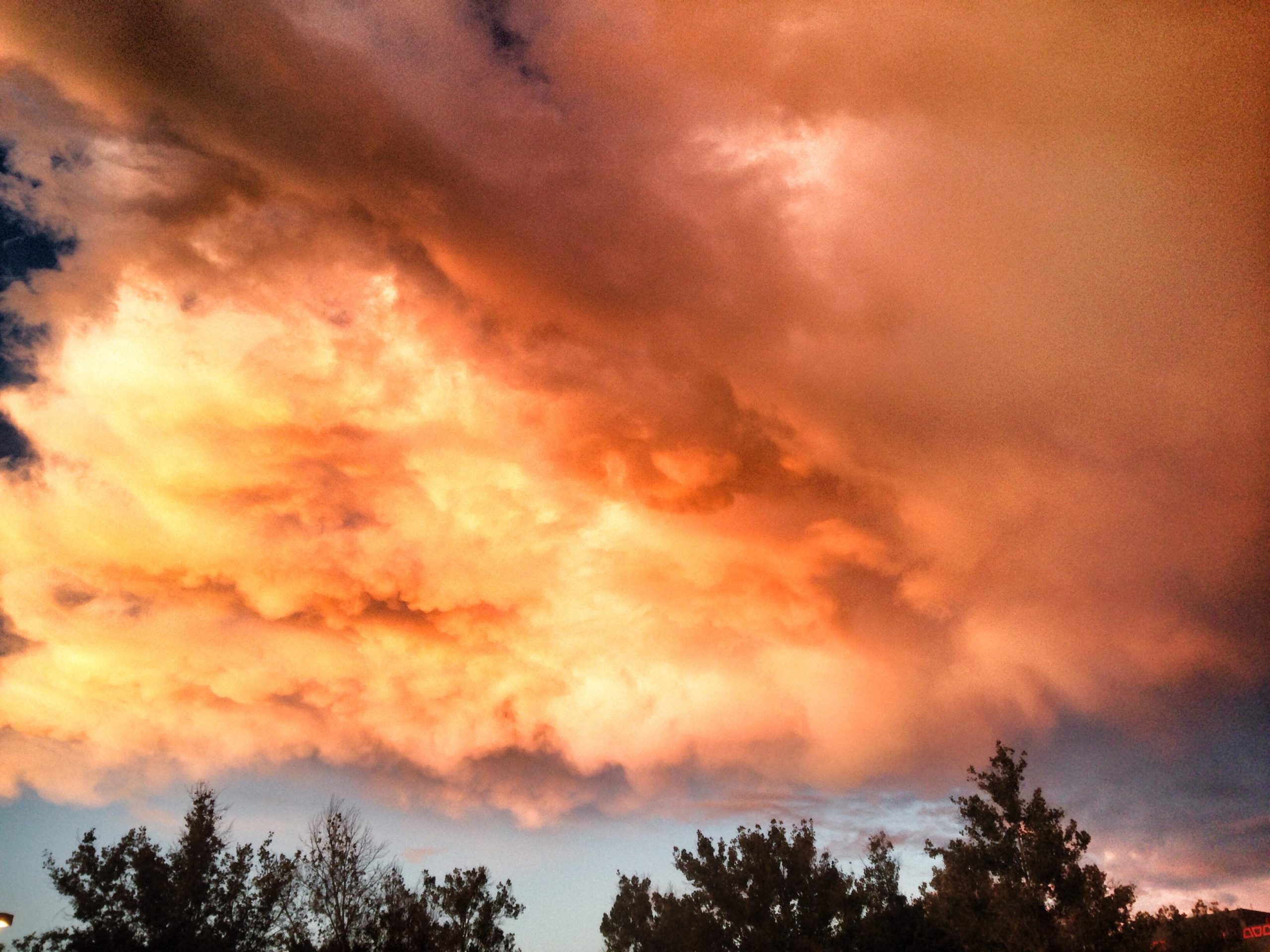 A dramatic sky filled with clouds displaying shades of orange and yellow, illuminated by the setting sun, with dark blue peeking through in the background. Silhouettes of trees are visible at the bottom of the image. Mariposa Fat Bike Trails mountain bike trail.