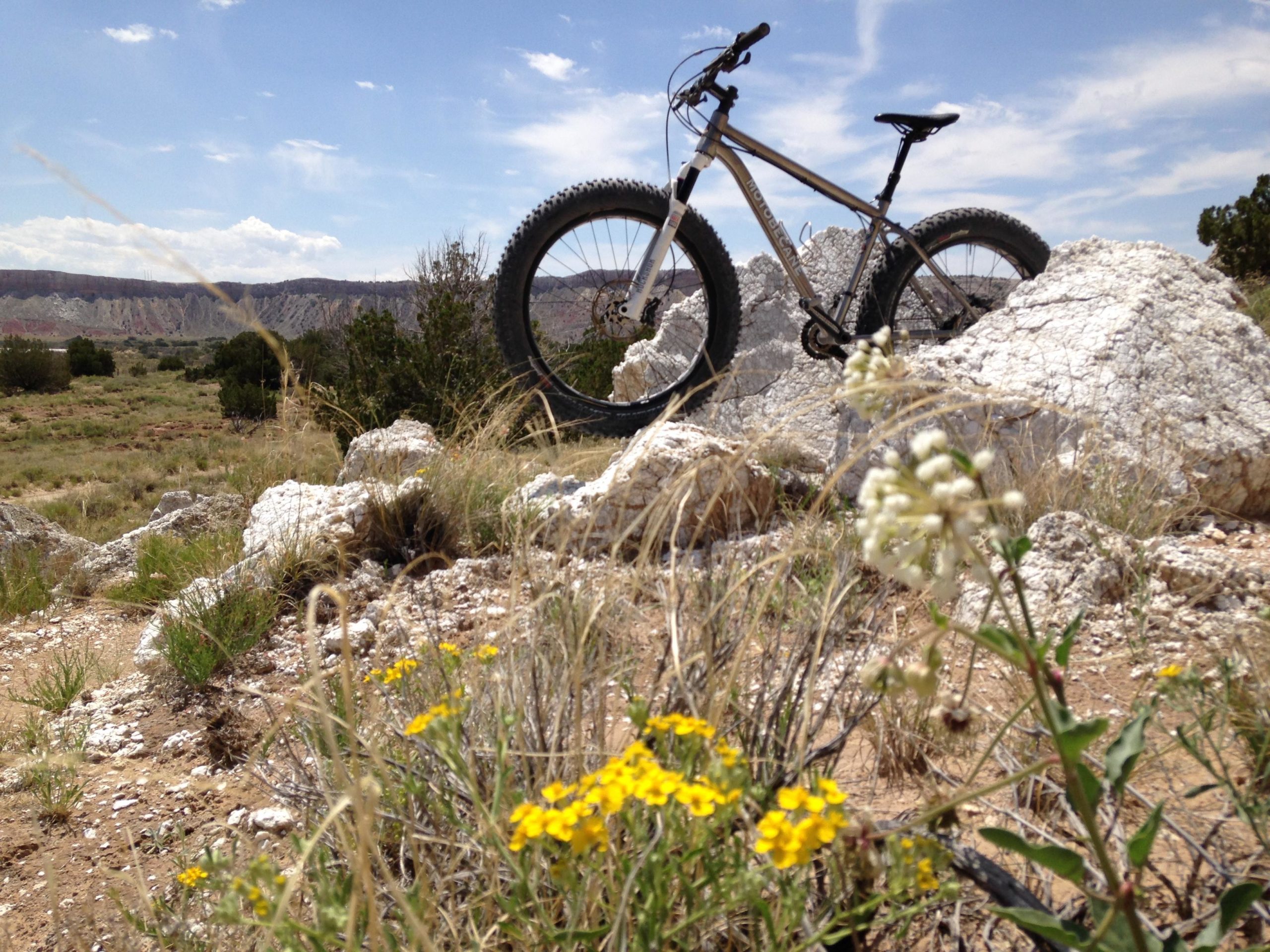 A mountain bike resting on a rocky outcrop in a rugged, natural landscape, surrounded by wildflowers and long grasses under a blue sky with wispy clouds. White Ridge Bike Trails mountain bike trail.