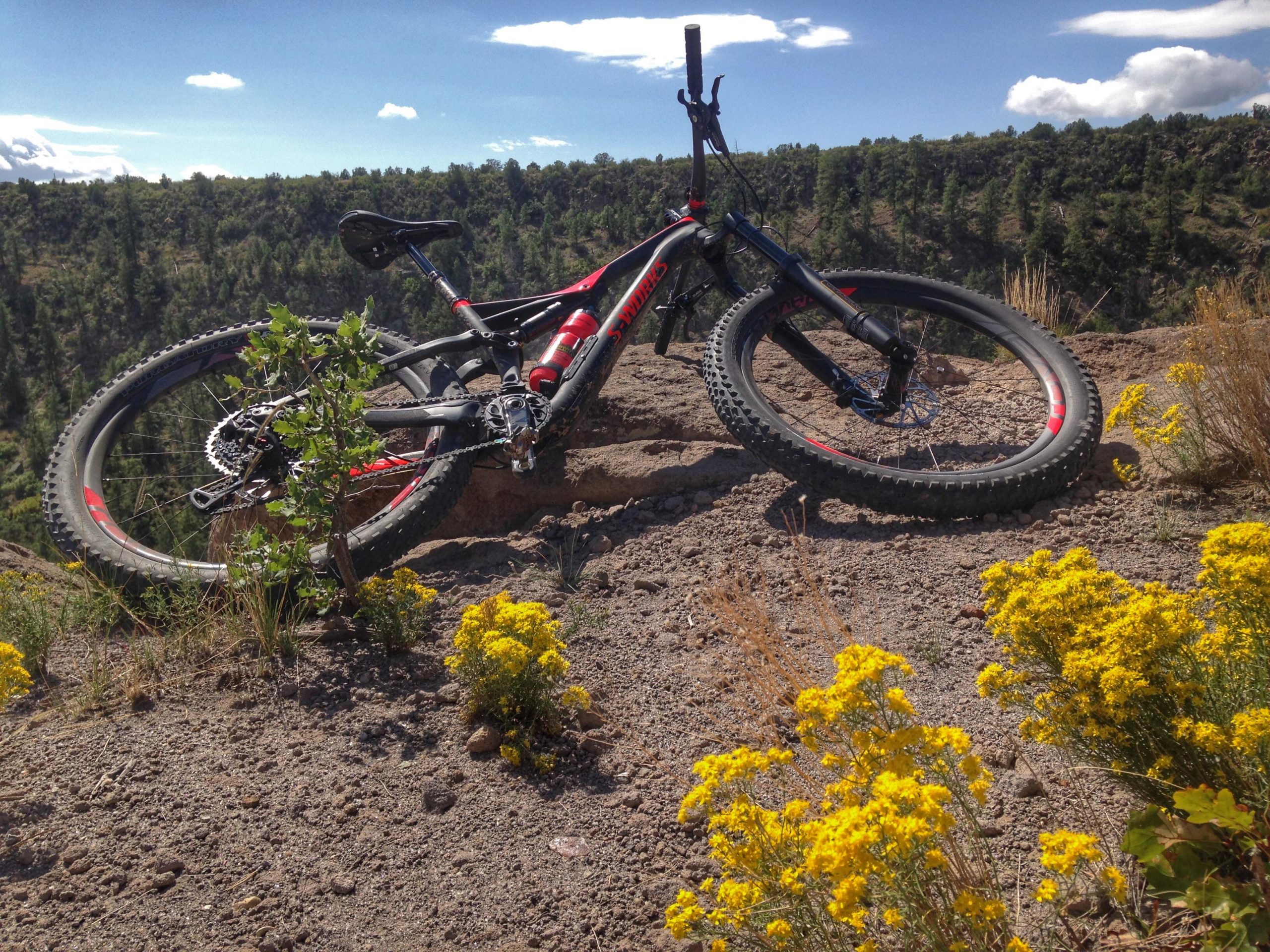 A mountain bike resting on rocky terrain, surrounded by yellow wildflowers and greenery. The background features a scenic view of a forested area under a blue sky with scattered clouds. Los Alamos County Trails mountain bike trail.