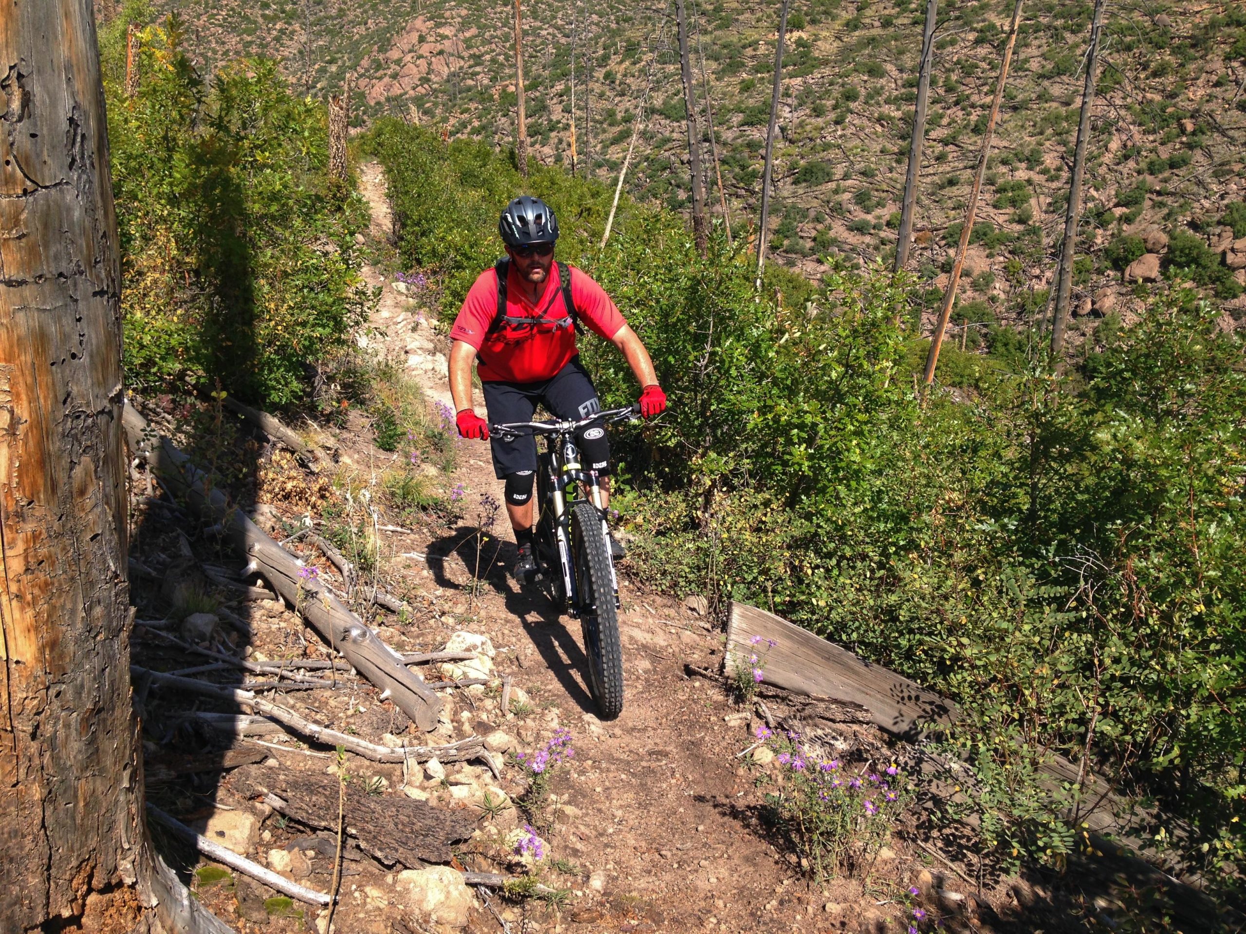 A mountain biker dressed in a red shirt and black shorts rides along a narrow dirt trail surrounded by green bushes and rocky terrain. The scene features a sunlit landscape with hills in the background and wildflowers along the path. Los Alamos County Trails mountain bike trail.