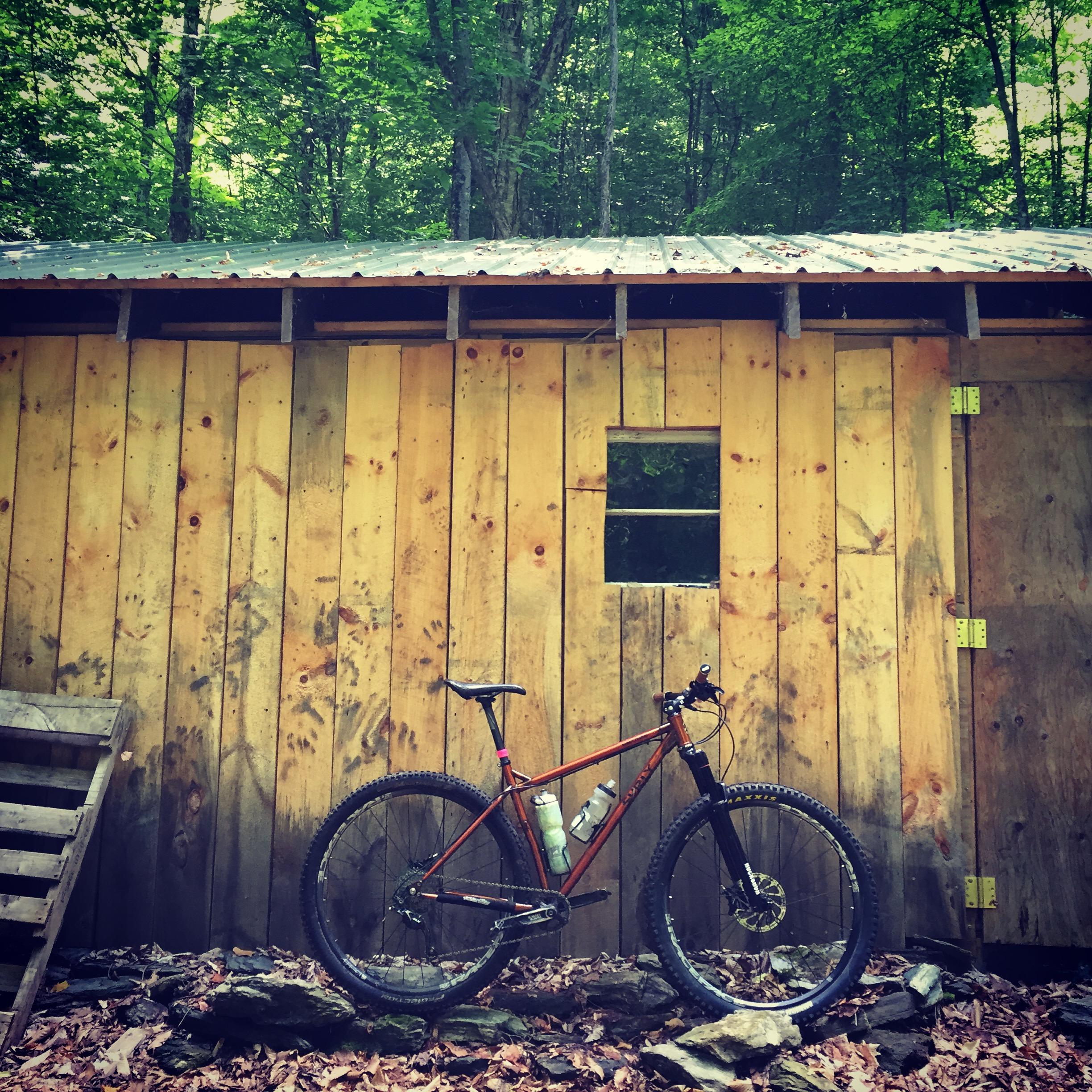 Surly Karate Monkey: A mountain bike with two water bottles is leaned against a rustic wooden shed in a dense forest. The shed has a corrugated metal roof and a small window, surrounded by fallen leaves and stones. Lush green foliage covers the background, creating a serene outdoor setting.