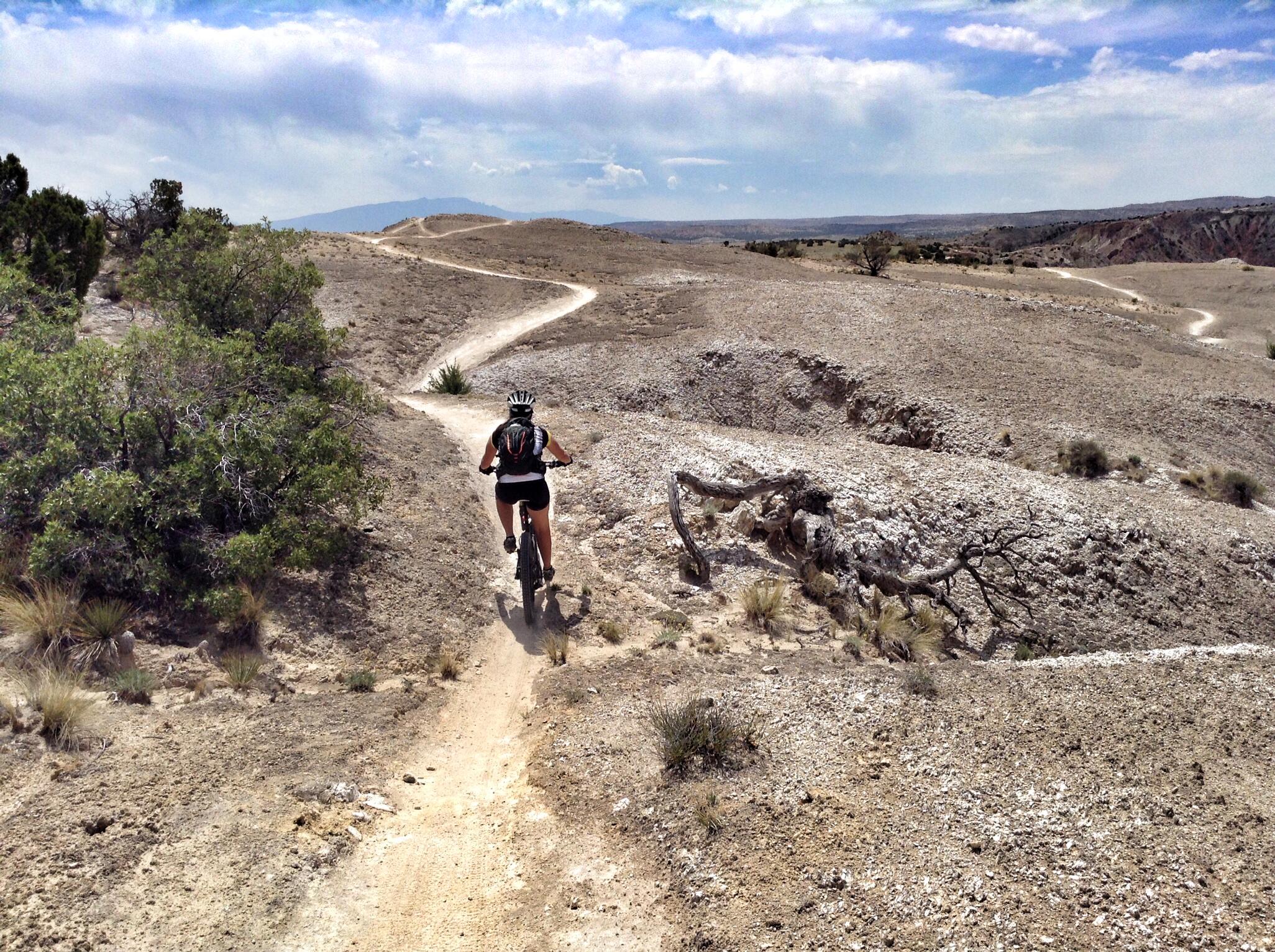A mountain biker riding a dirt trail through a dry, rocky landscape, with shrubs and sparse vegetation on the side. The path winds through the terrain under a cloudy sky. White Ridge Bike Trails mountain bike trail.