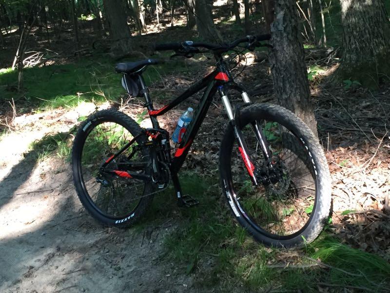 A mountain bike with a black and orange frame leaning against a tree on a dirt trail, surrounded by greenery and forest undergrowth. A water bottle is attached to the bike. Addison Oaks mountain bike trail.